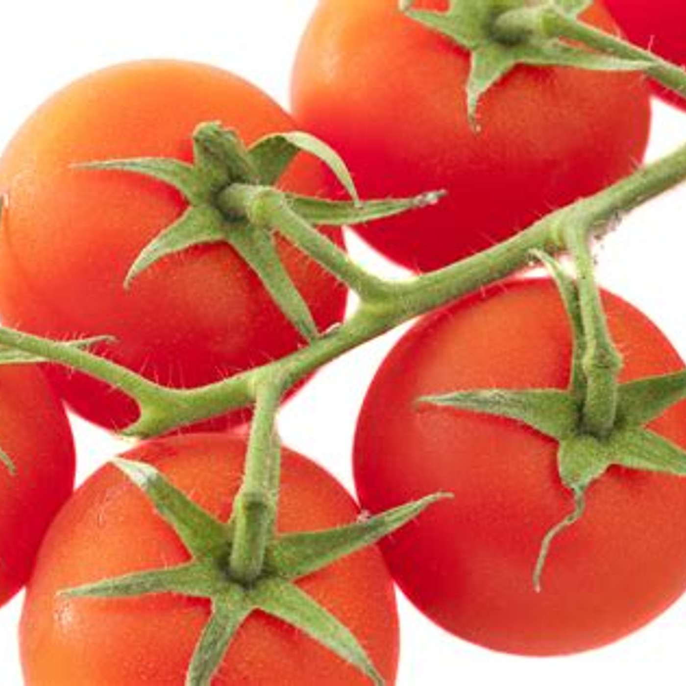 Tomatoes: easy to grow. But always on the dirty dozen list if not organic.Best to grow your own episode artwork