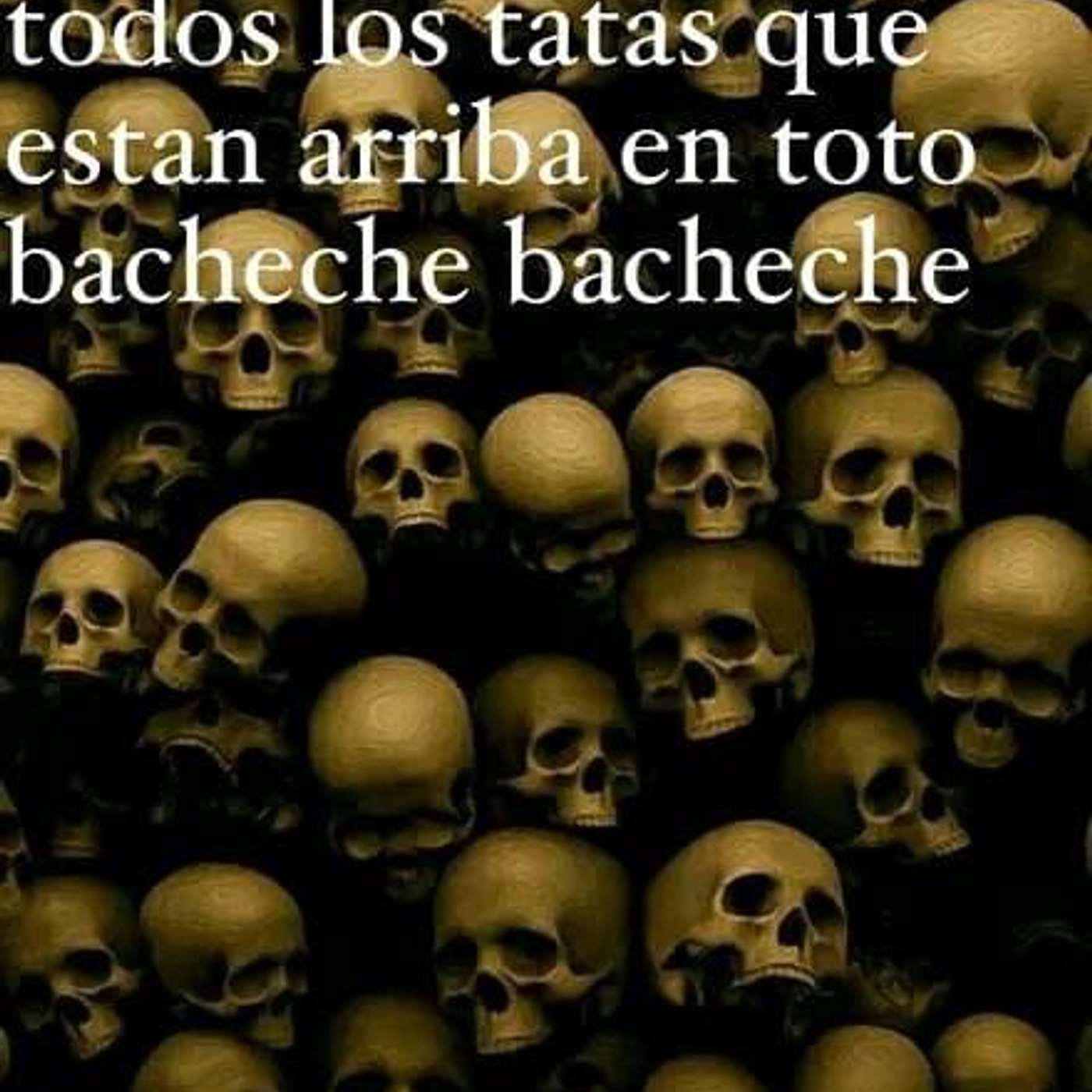 Sticks&Bones