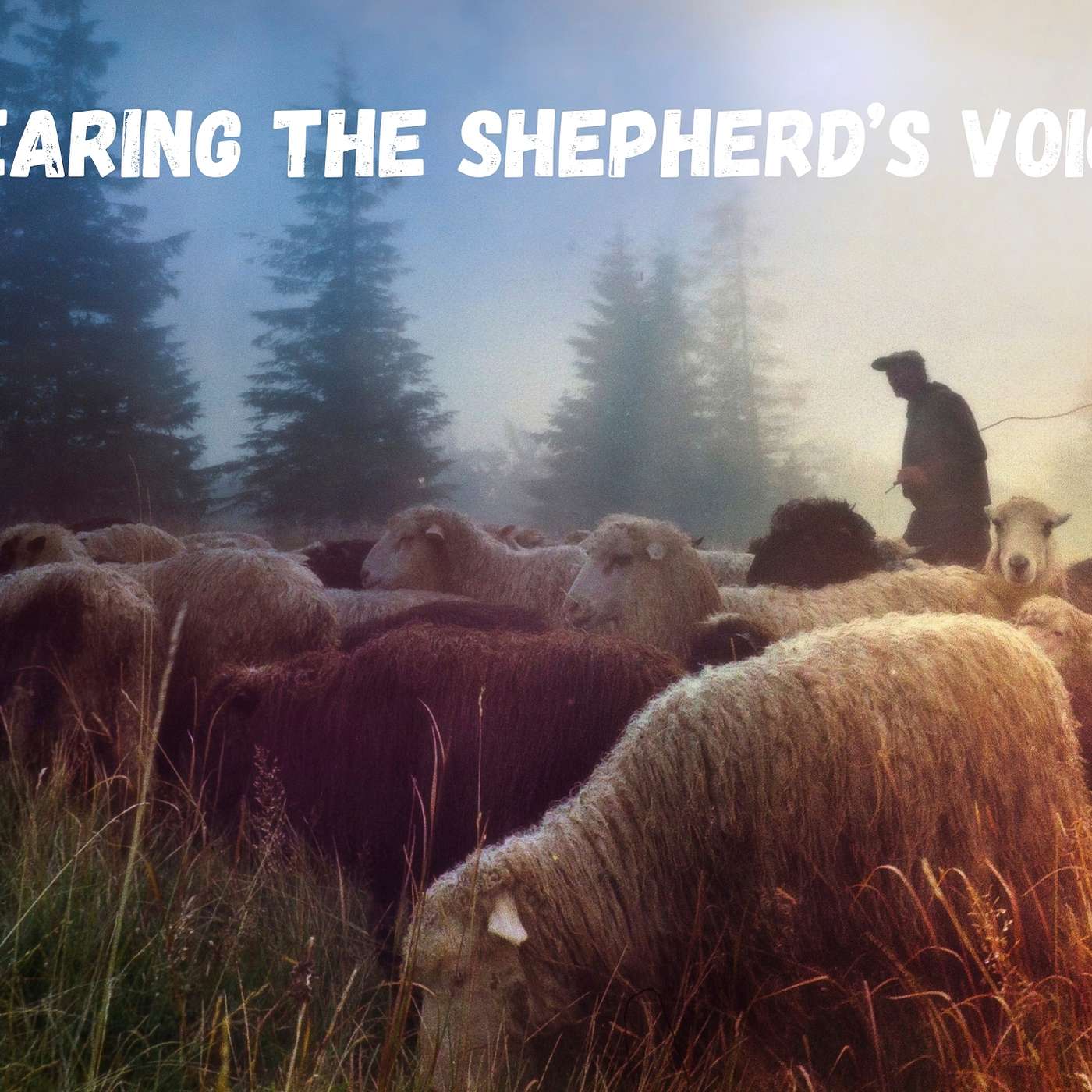 Hearing the Shepherd’s Voice episode artwork