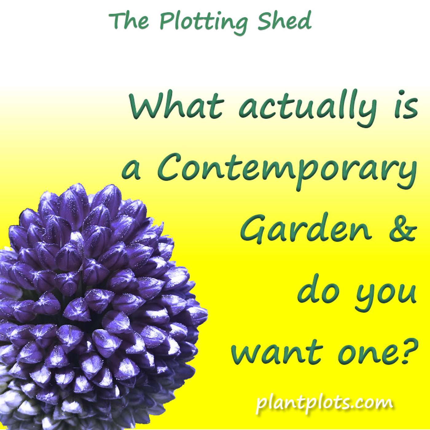 What actually is a Contemporary Garden - and why do you want one?