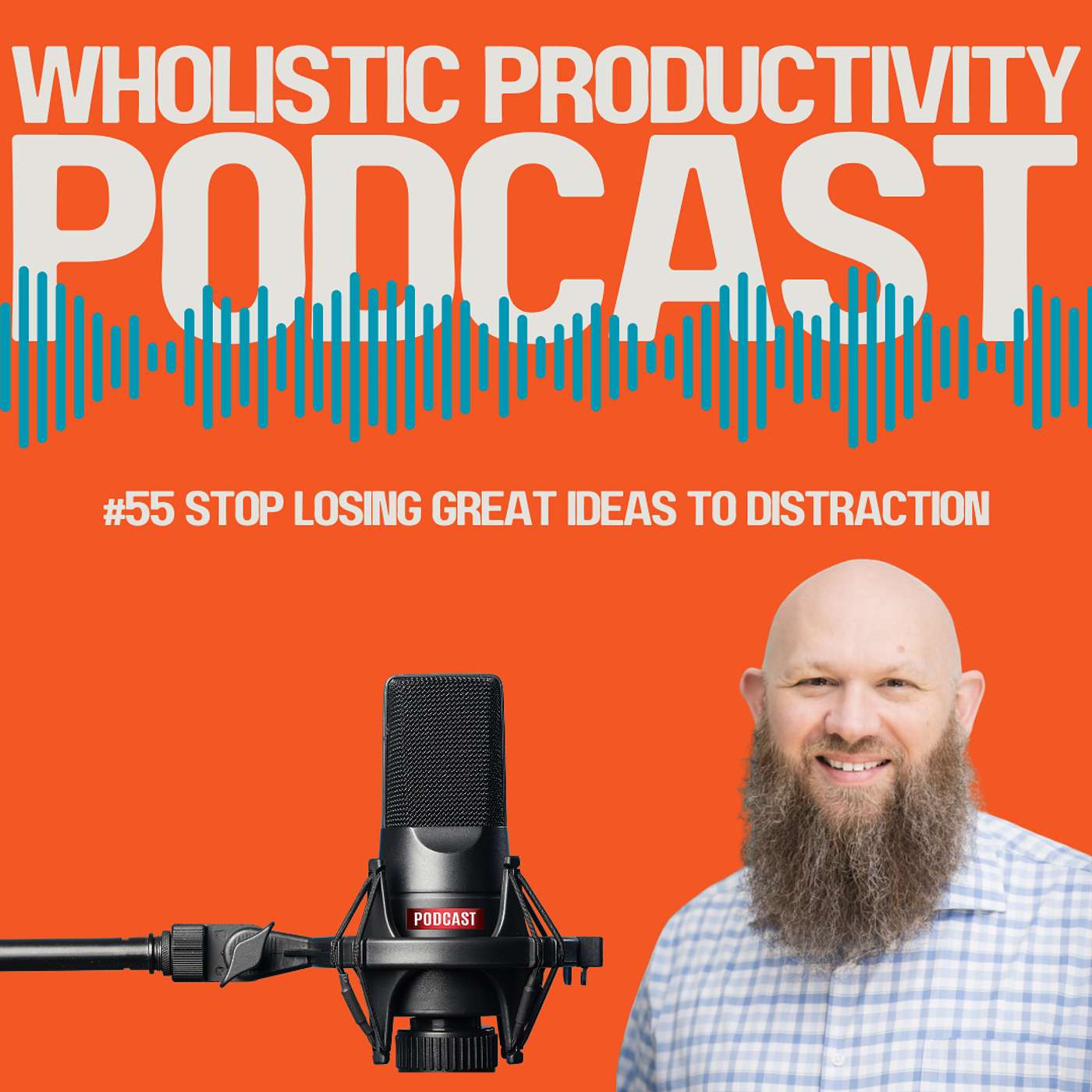 #55 Stop Losing Great Ideas to Distraction