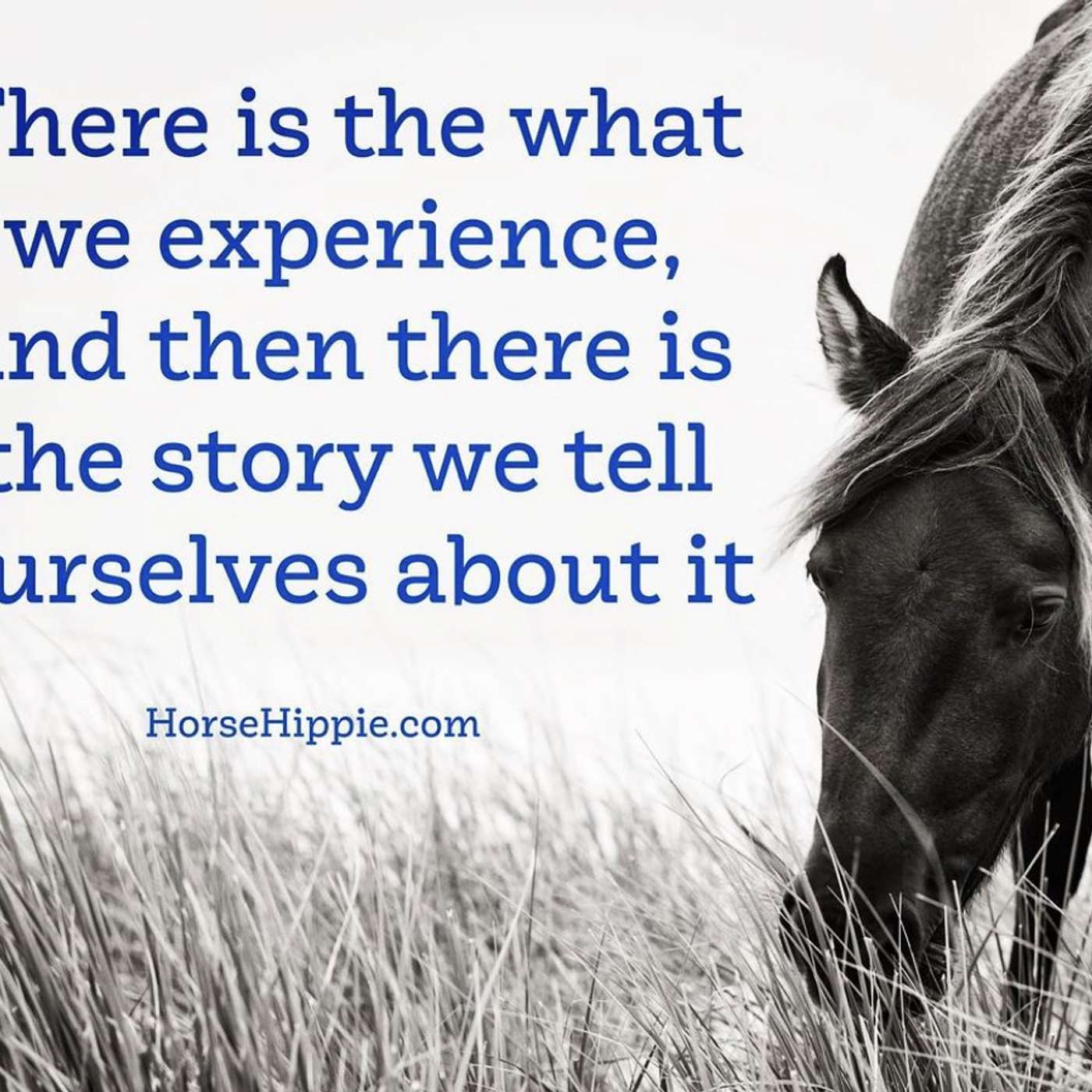 The Story We Tell Ourselves