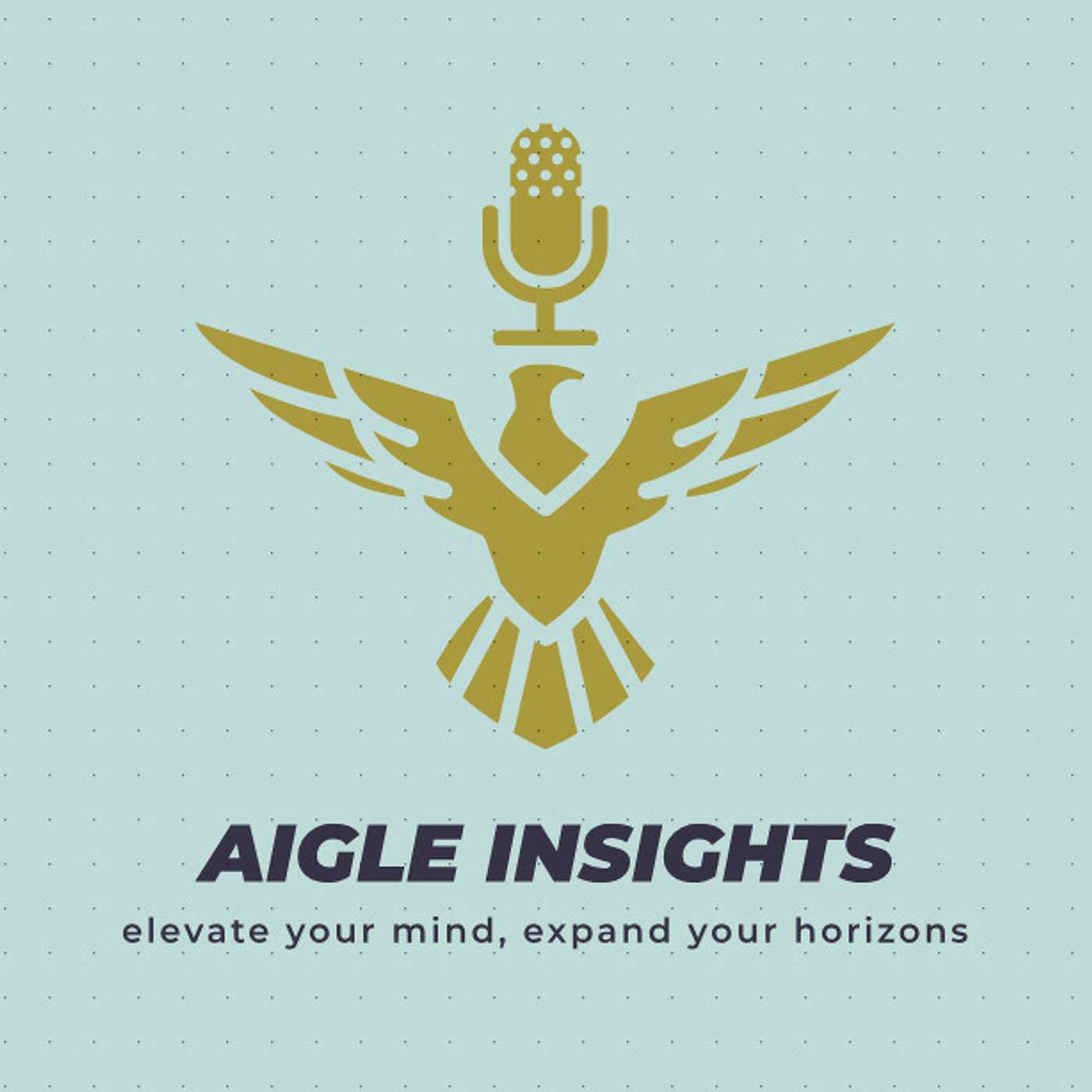 Aigle Insights