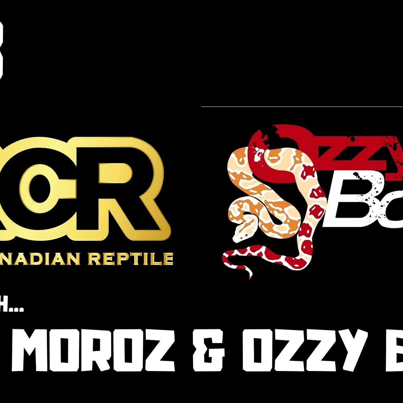 #23 WILL MOROZ & OZZY BOIDS | BALL PYTHON BREEDERS | TRAP TALK WITH MJ PODCAST
