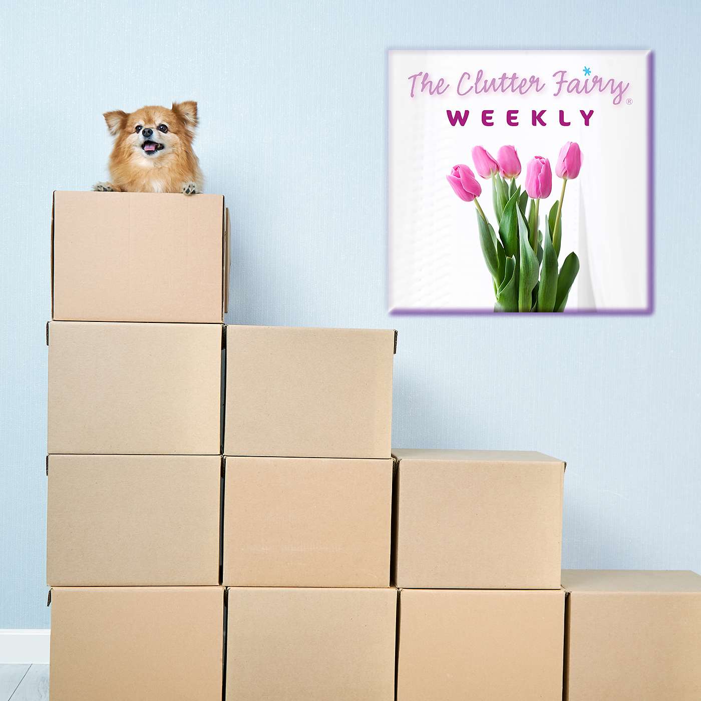 The Clutter Fairy Weekly
