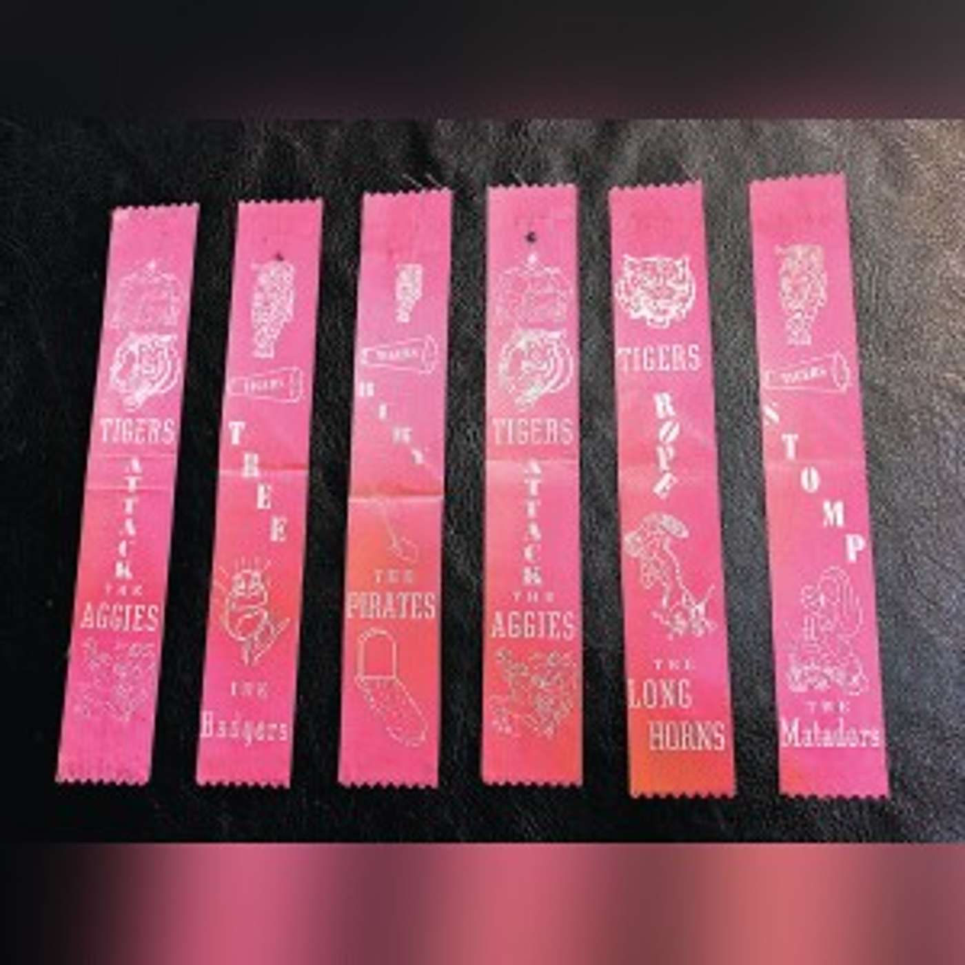 We've got spirit! Tiger spirit ribbons prompt memories episode artwork