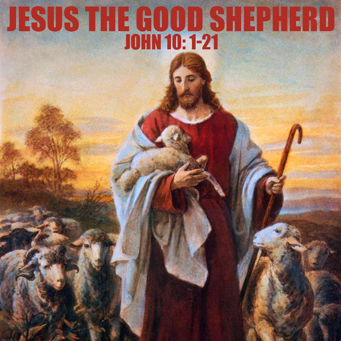 Season 3 Episode 130 - The Good Shepherd - John 10:1-21