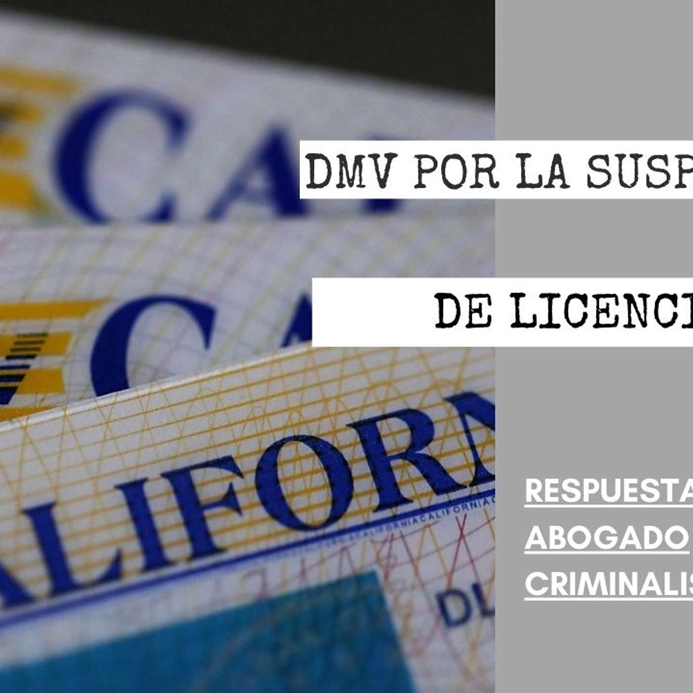 Abogado Criminalista Área de la Bahía