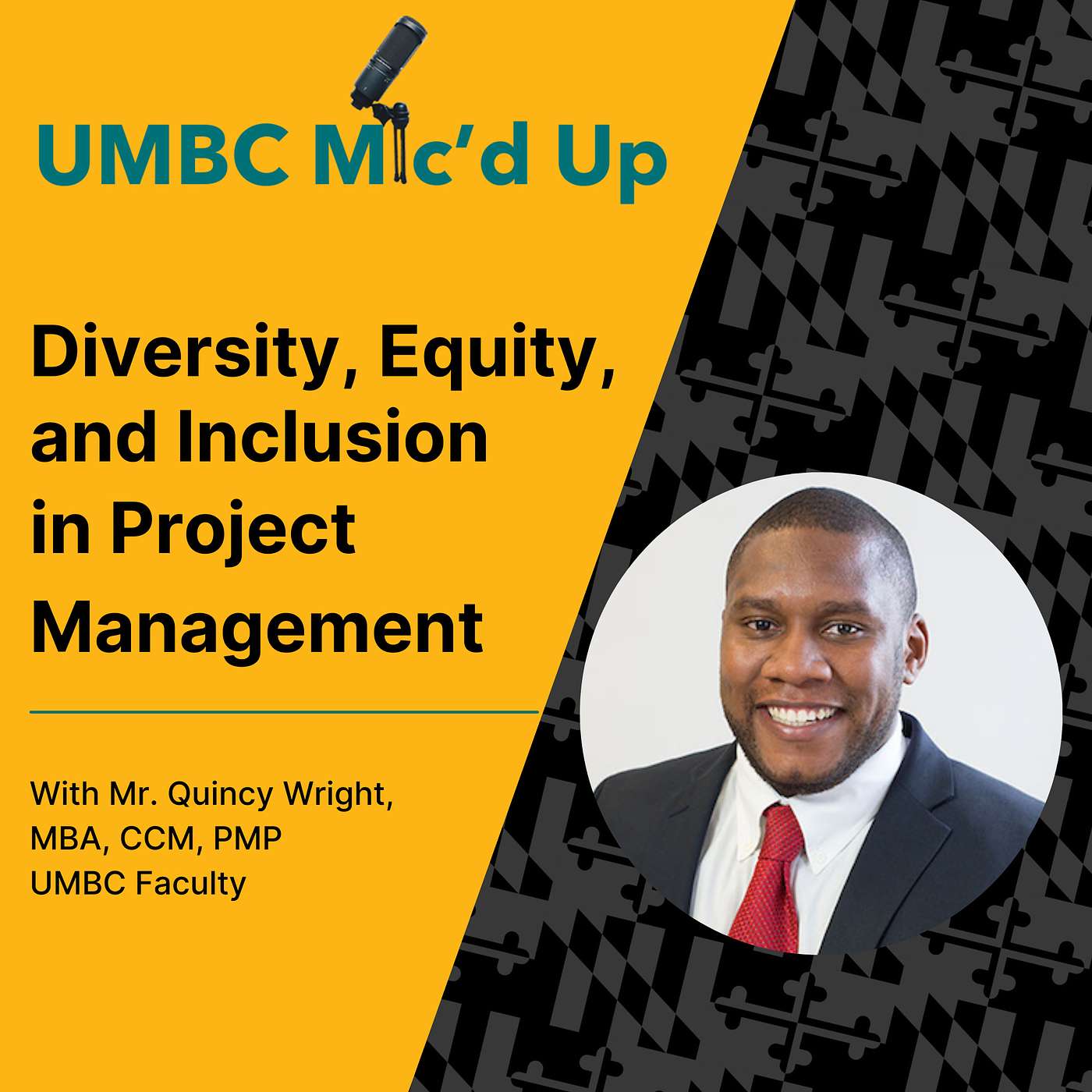 Diversity, Equity, and Inclusion in Project Management episode artwork