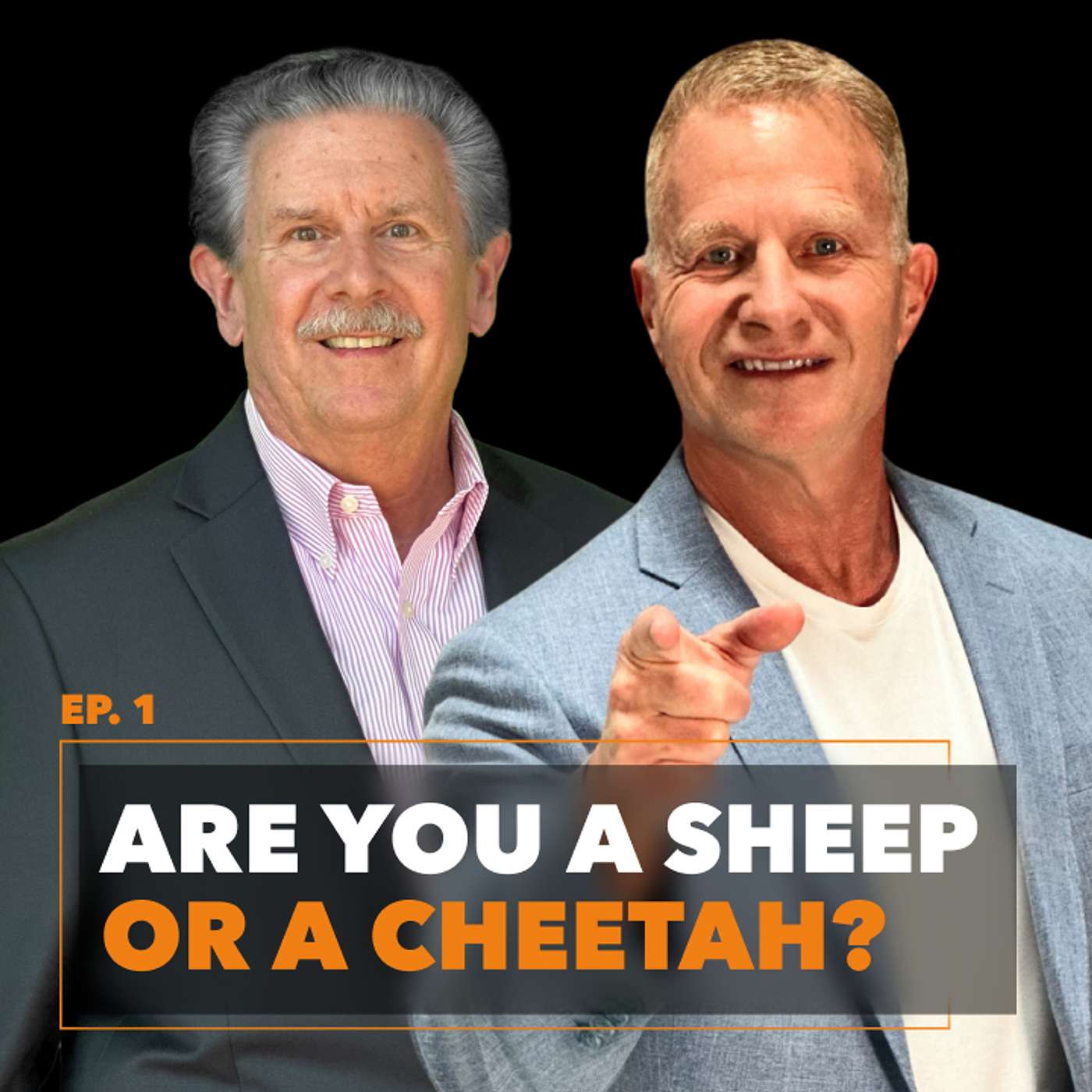 Run with the Cheetahs - Your Climb To An Extraordinary Life