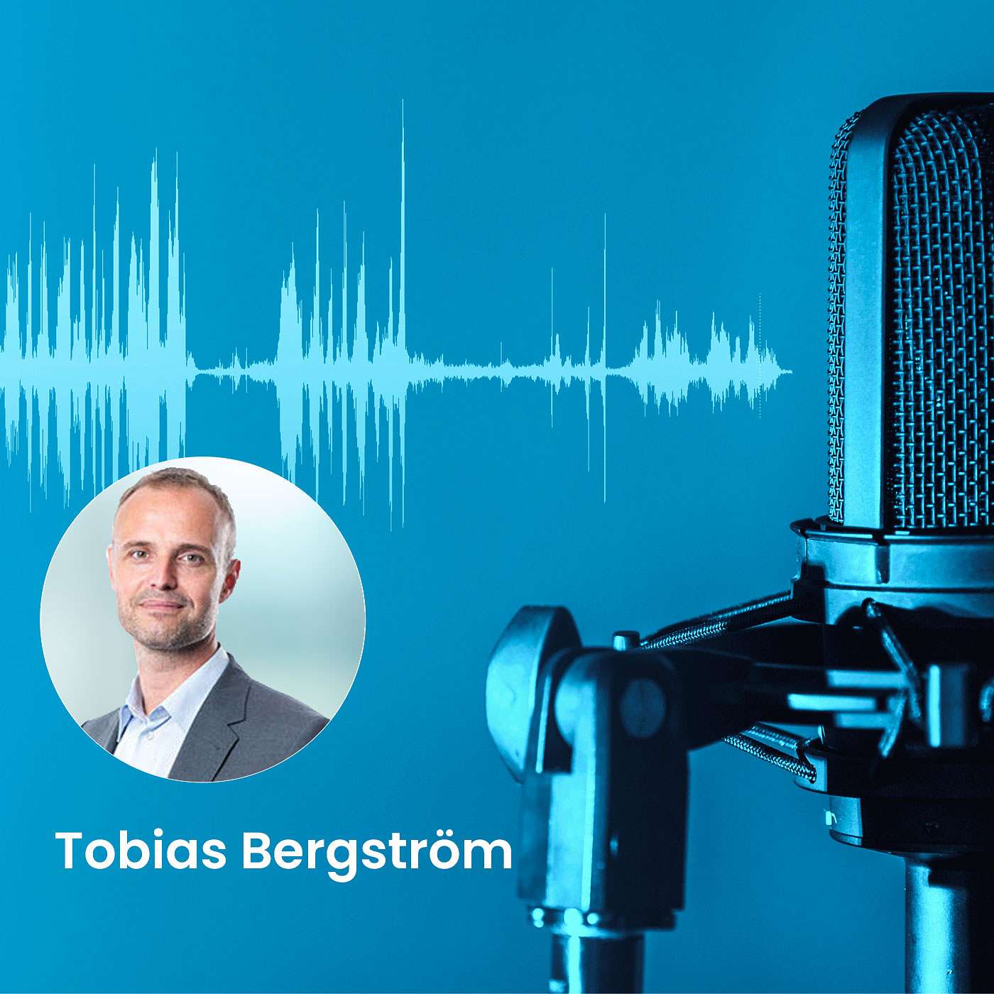 How Do You Structure an E-Commerce Organisation? episode artwork