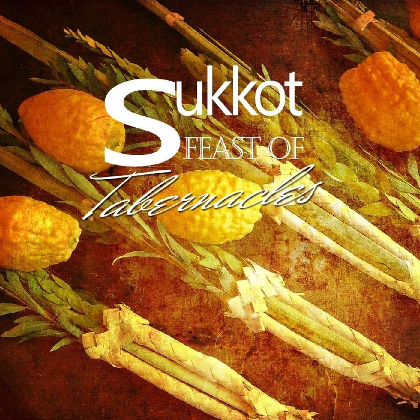 Sukkot 2023: Leviticus 22:26-23:44