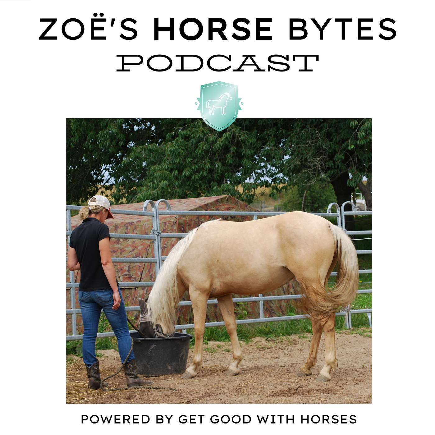 46. Do the best with what you've got episode artwork