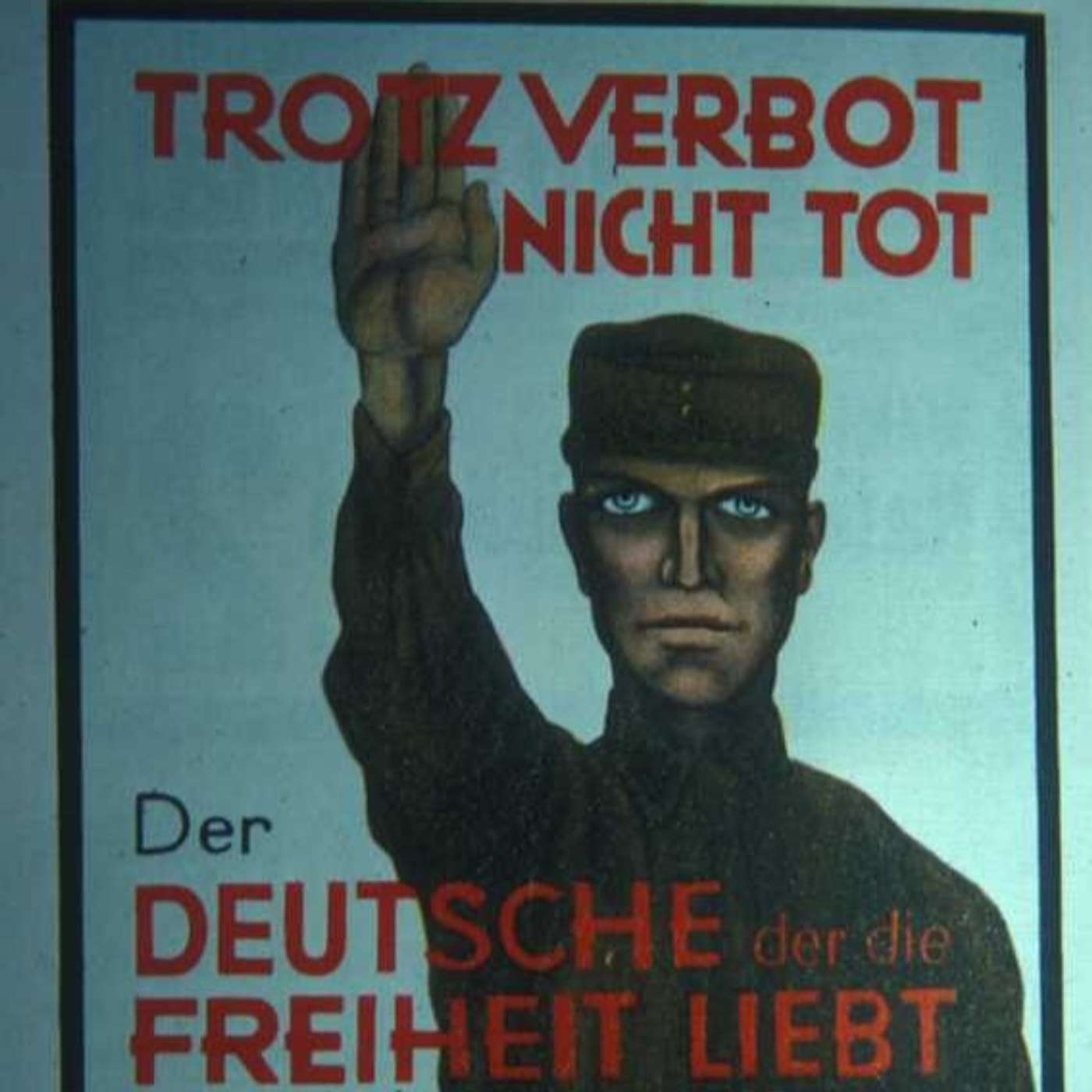 Nazis in the Wilderness: Rebuilding the Party (1925-1928) [1_38]
