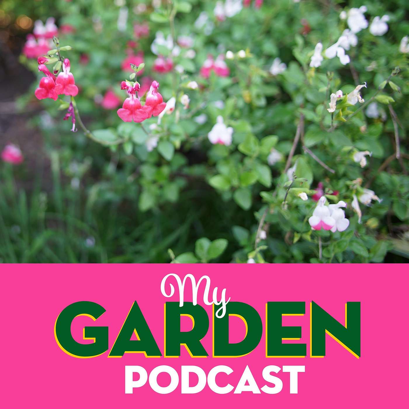 My Garden Podcast - Gardening Podcast