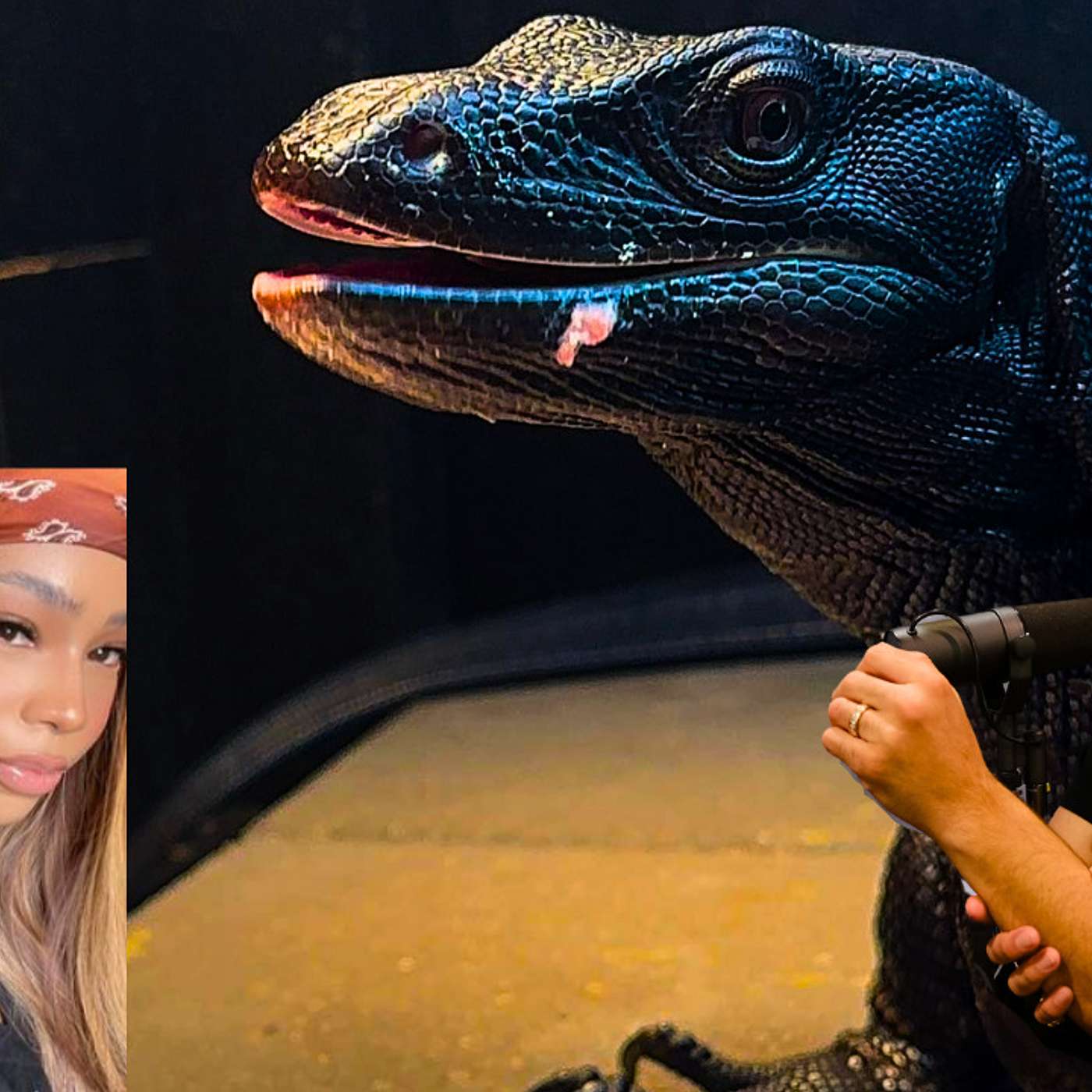 Building trust with a Black Dargon | Cheyenne A. Glass