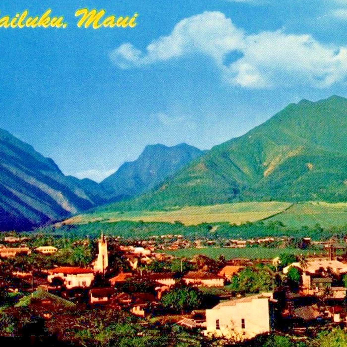 Wailuku, HI - We Keep Whale Placenta in Our Cooler at the Nickelback Concert episode artwork
