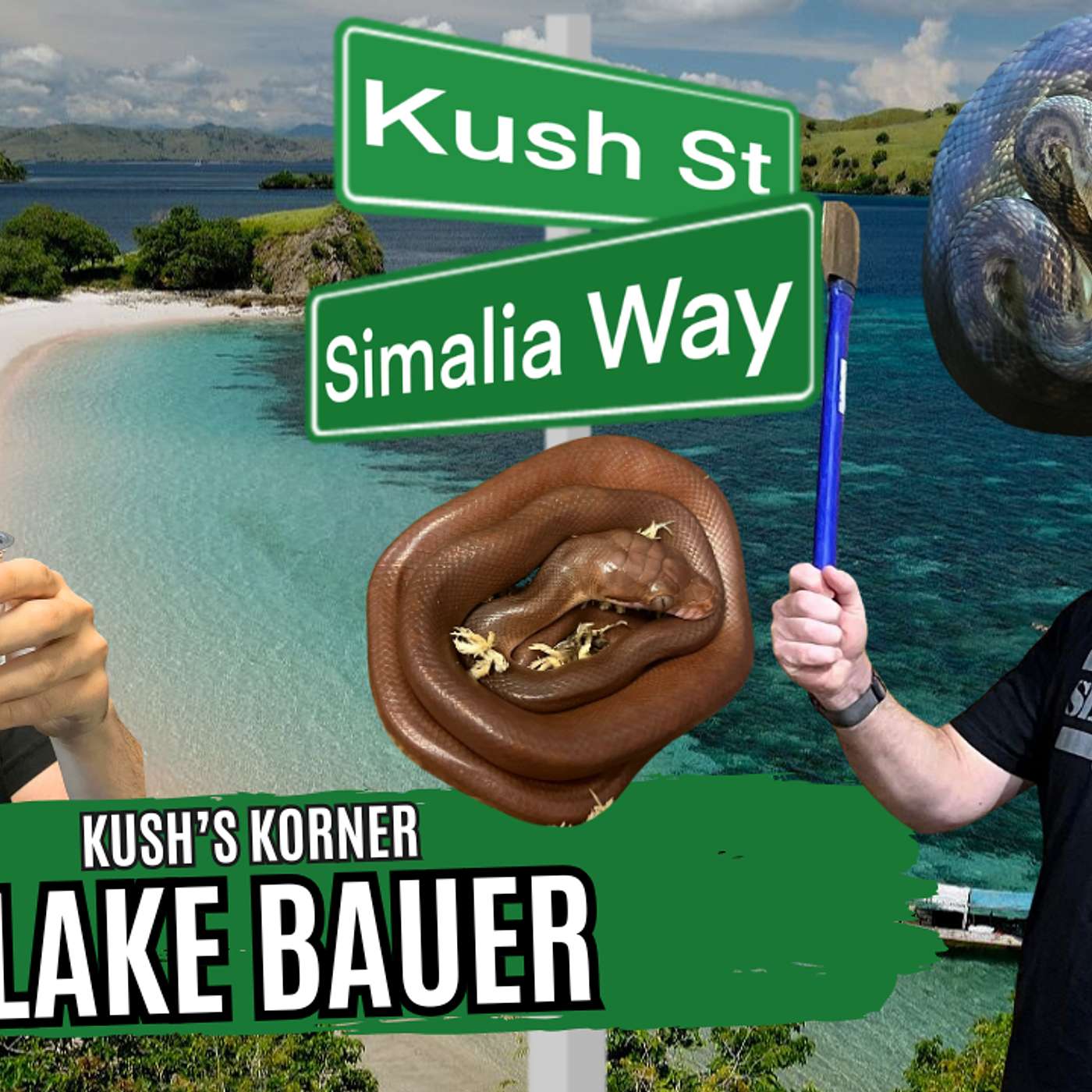 The REAL Keys To Producing Scrub Pythons | Kush's Korner Live