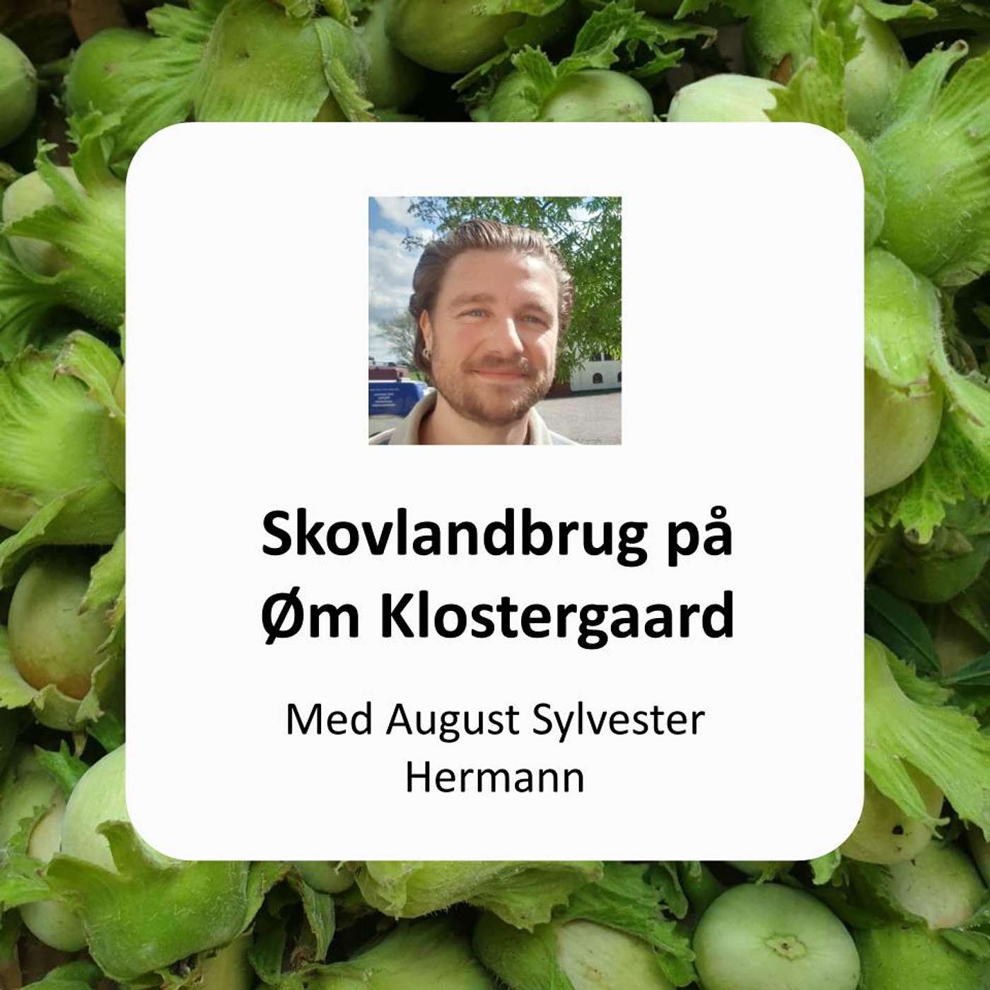 August Sylvester Hermann - Skovlandbrug på Øm Klostergaard August Sylvester Hermann - Skovlandbrug på Øm Klostergaard