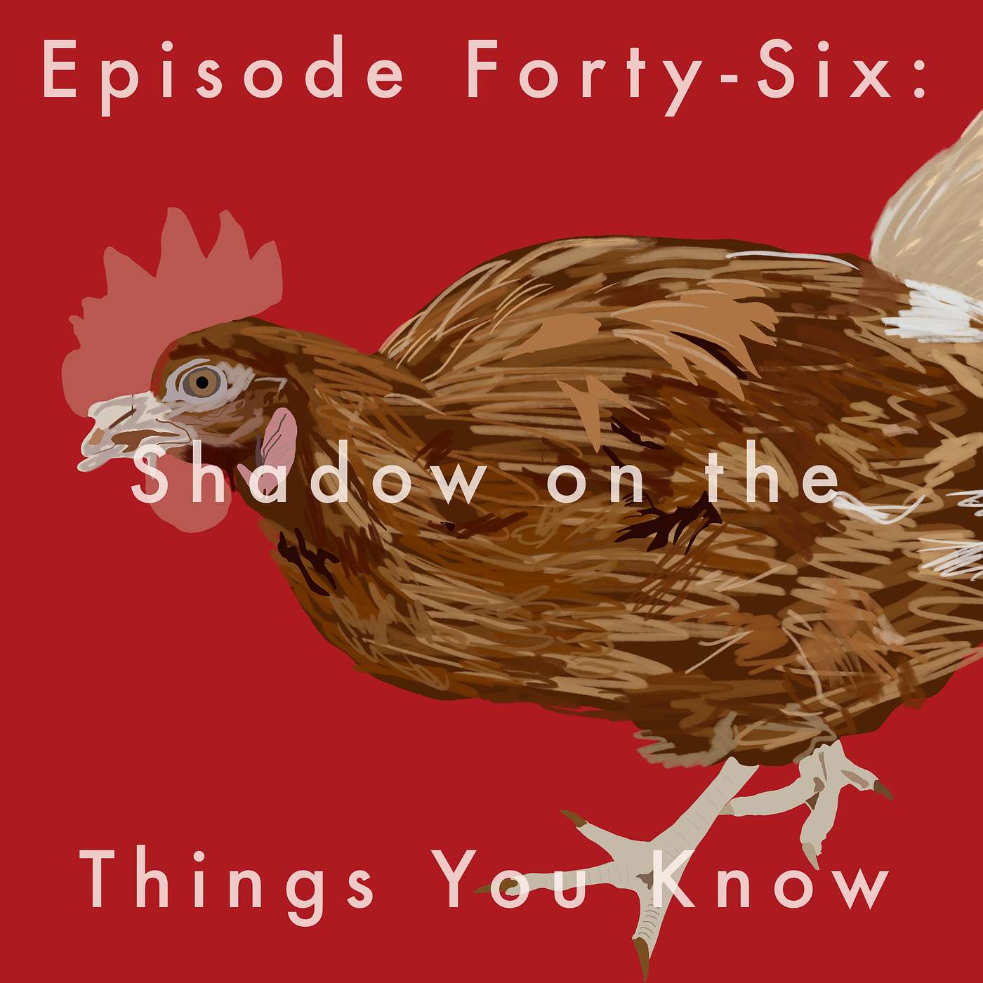 46: Shadow on the Things You Know episode artwork