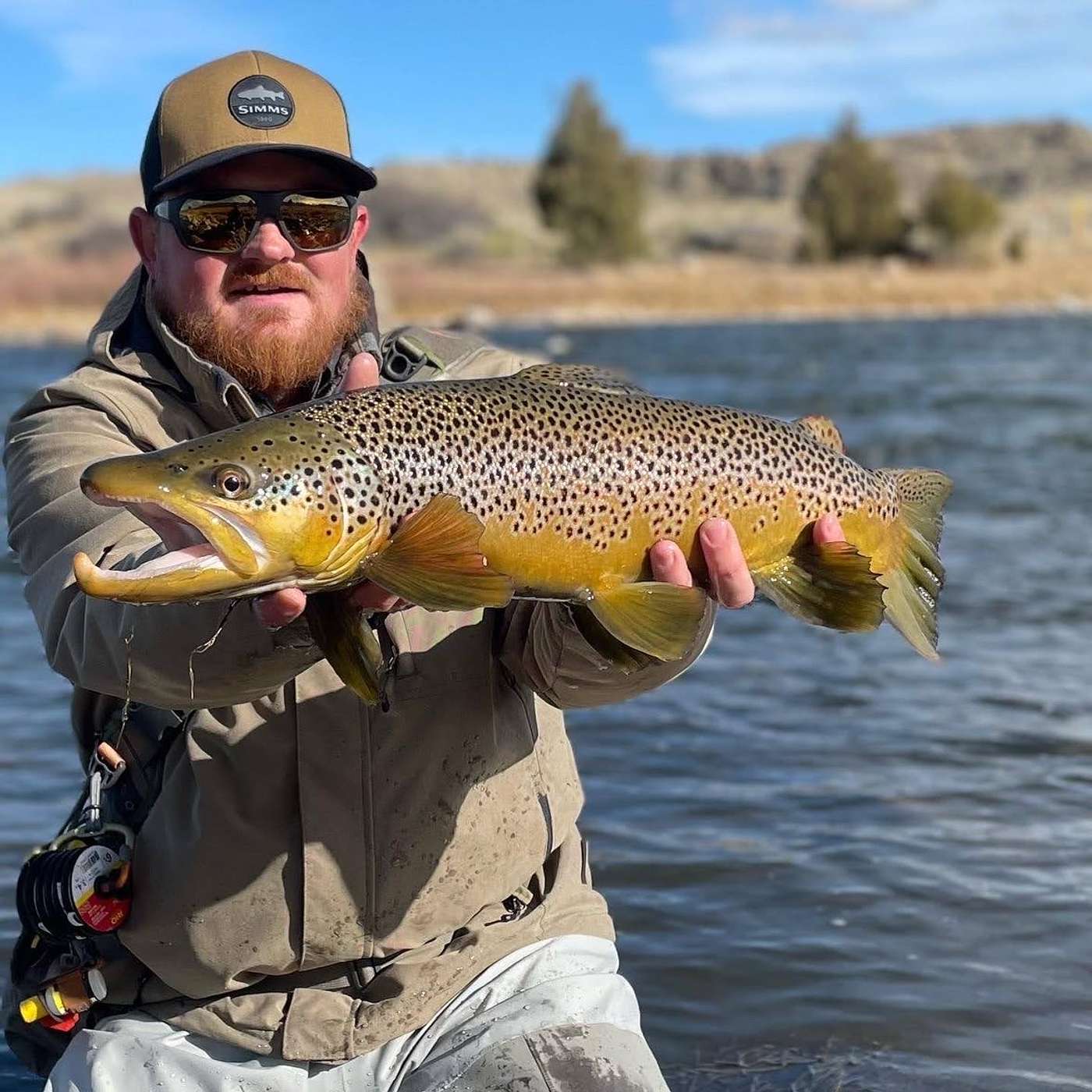 Design, Test and Selling Flies. A Day in the Life of Court Bailey Design, Test and Selling Flies. A Day in the Life of Court Bailey