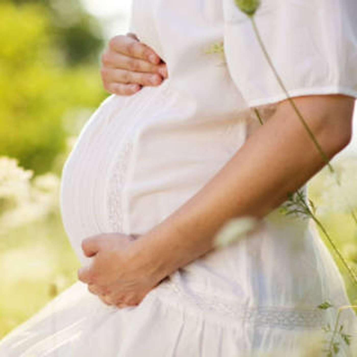 cover of episode Pregnancy