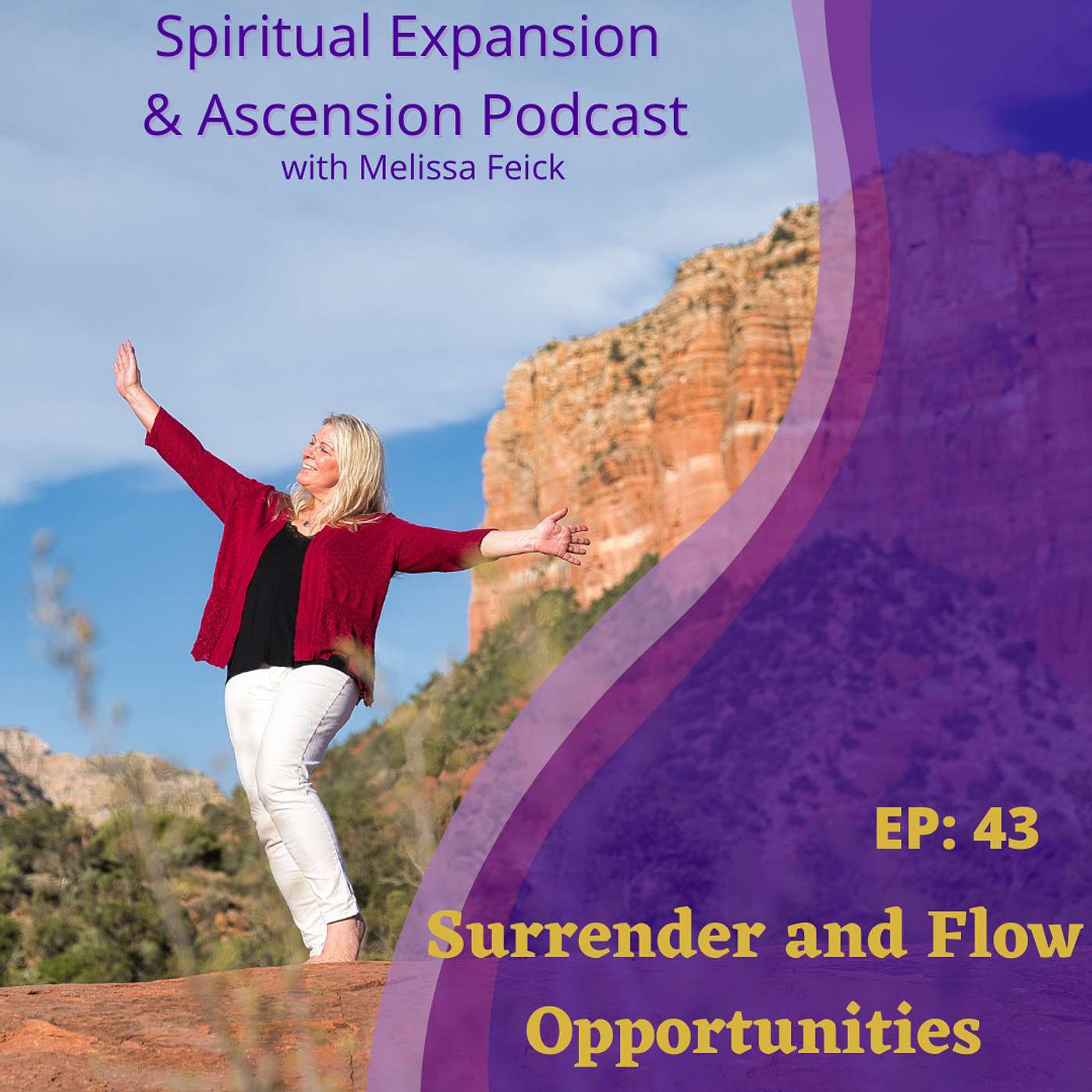 Episode 43: Surrender and Flow Opportunities