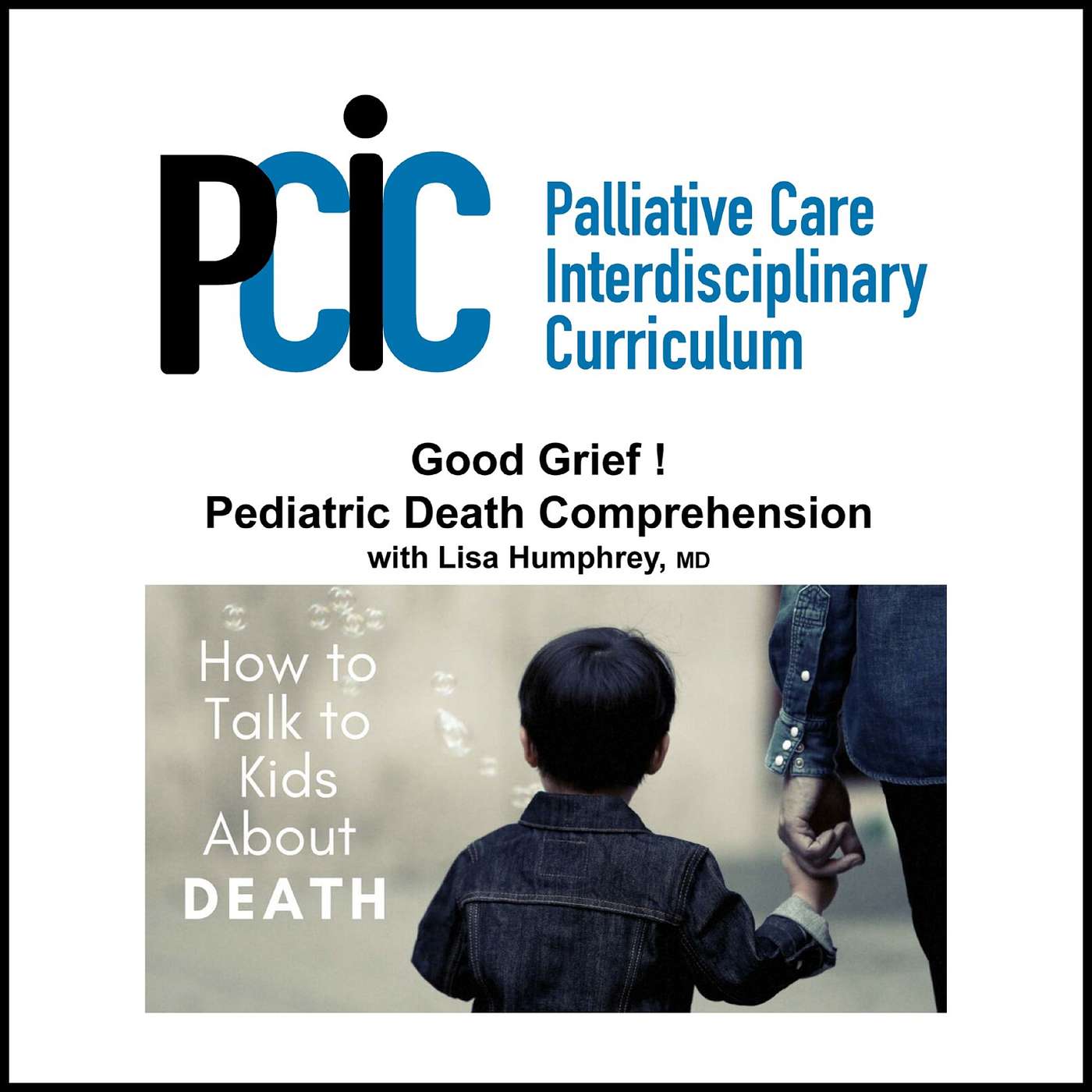 Palliative Care Interdisciplinary  Curriculum