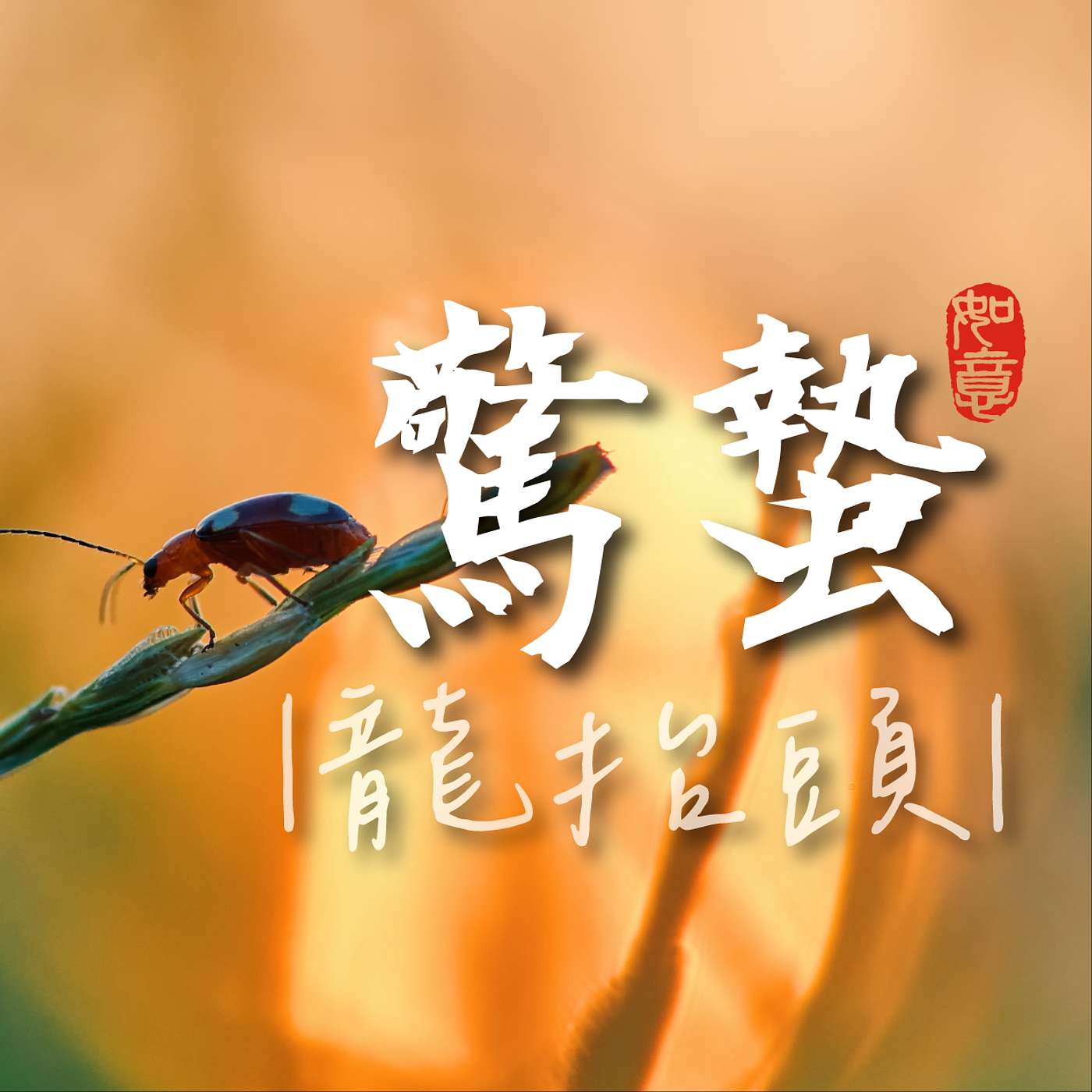 03-驚蟄｜2026洛桑節氣站