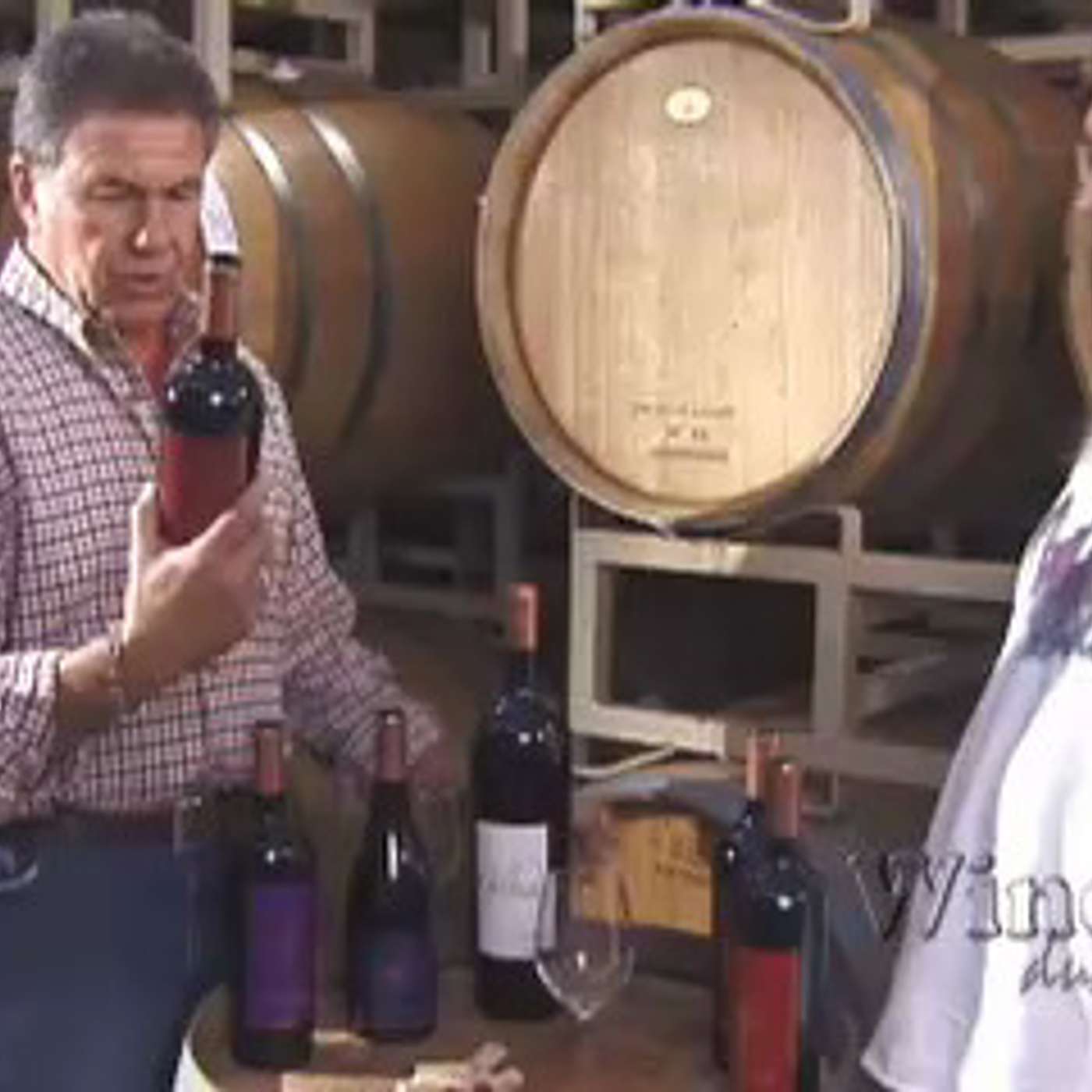 Episode #3: Gelfand Vineyards; The Wine Dude - Tasting as you go (Video) episode artwork