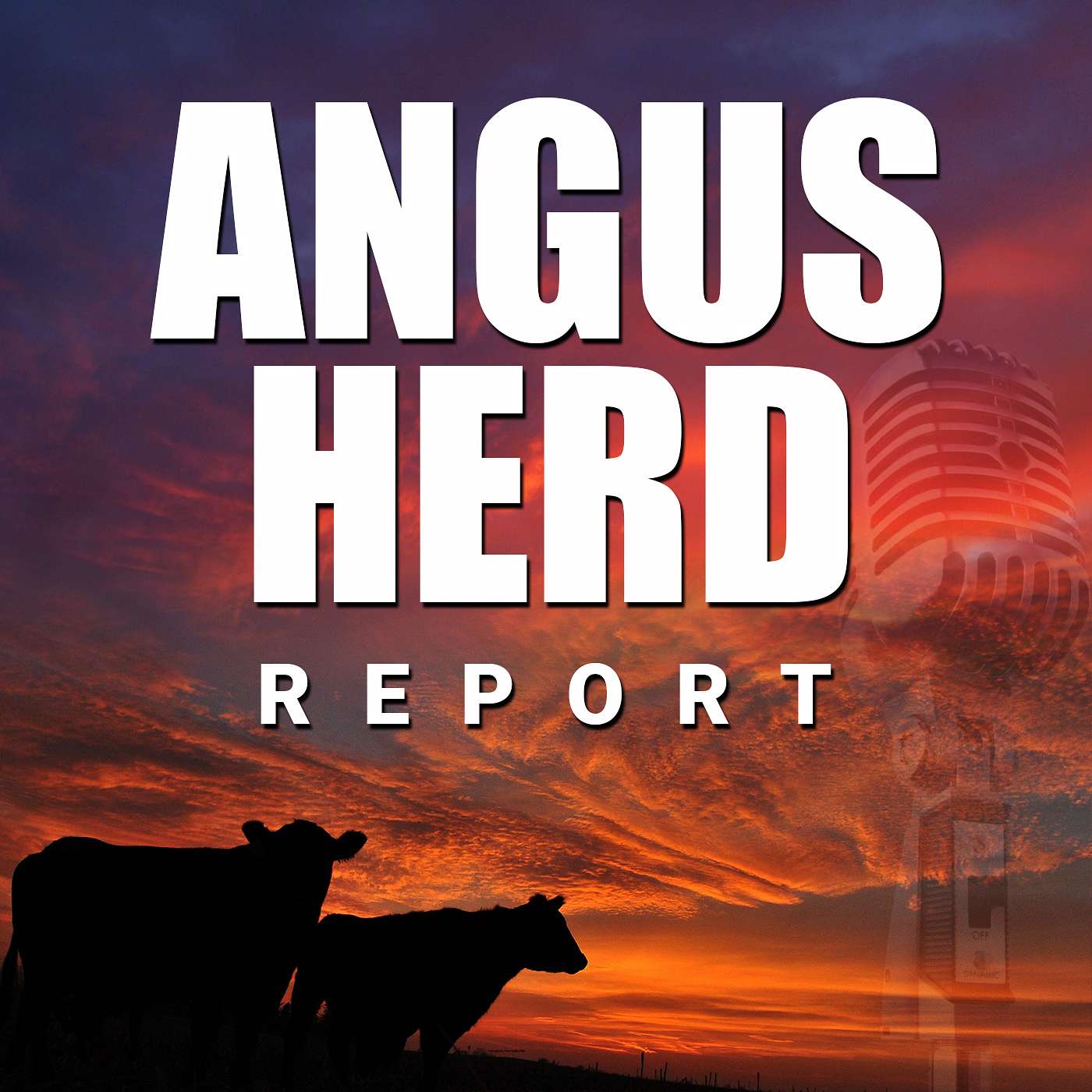 Angus Herd Talk