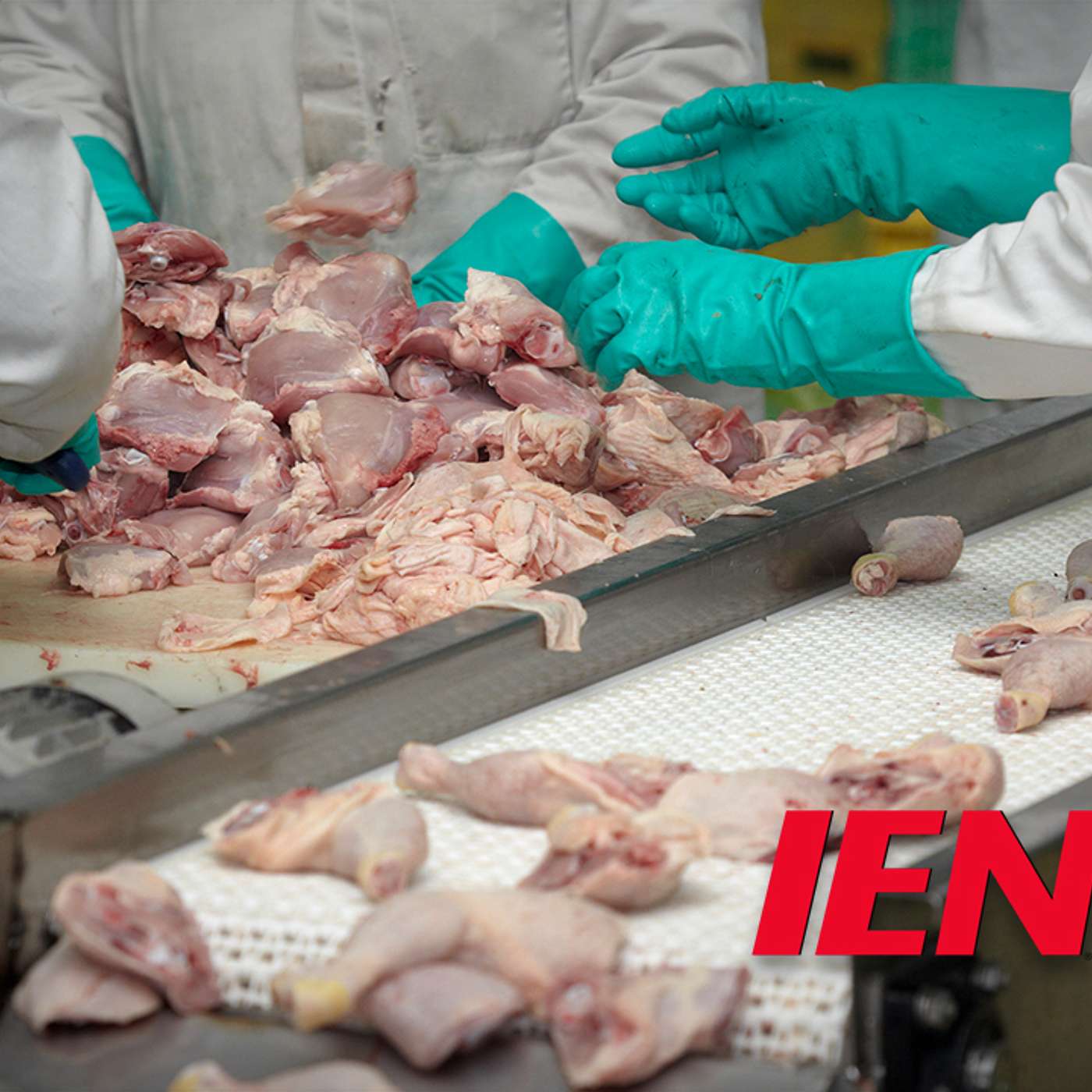 'Smelly Nuisance' Chicken Plant Blocked