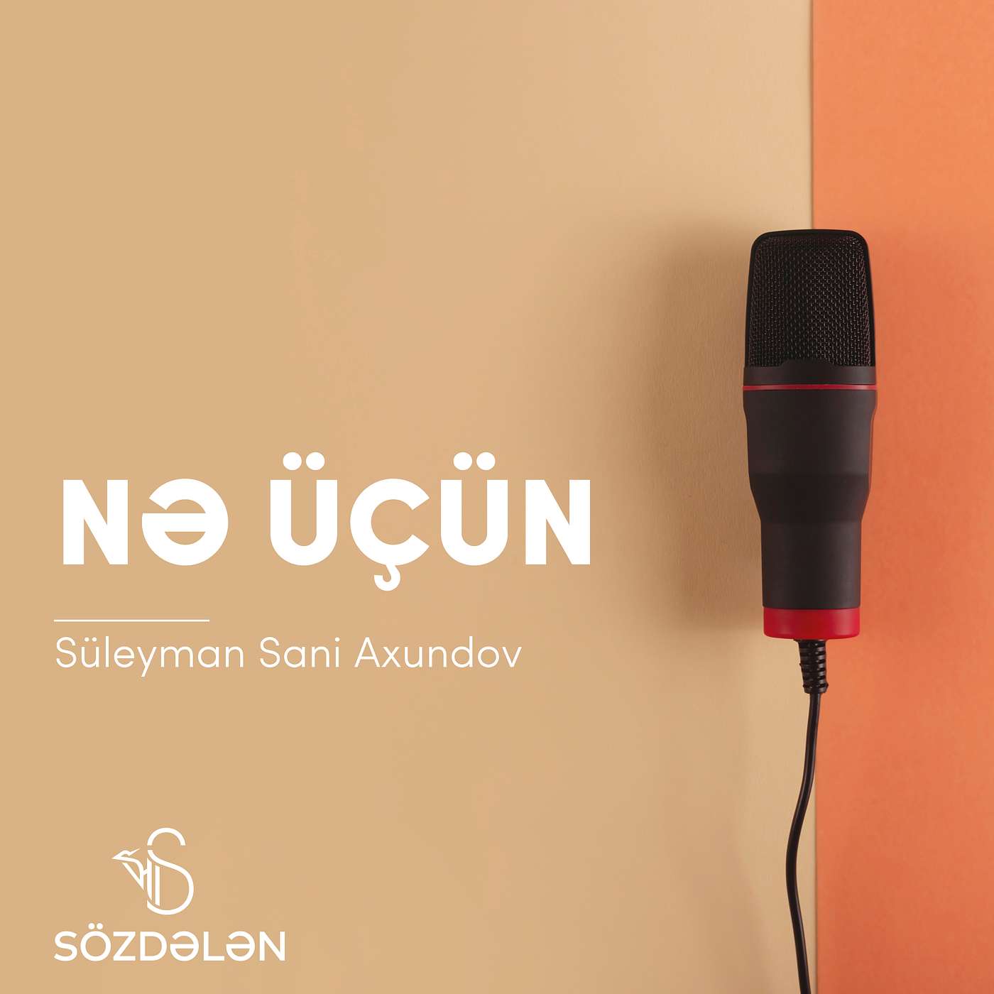 Nə üçün | Süleyman Sani Axundov
