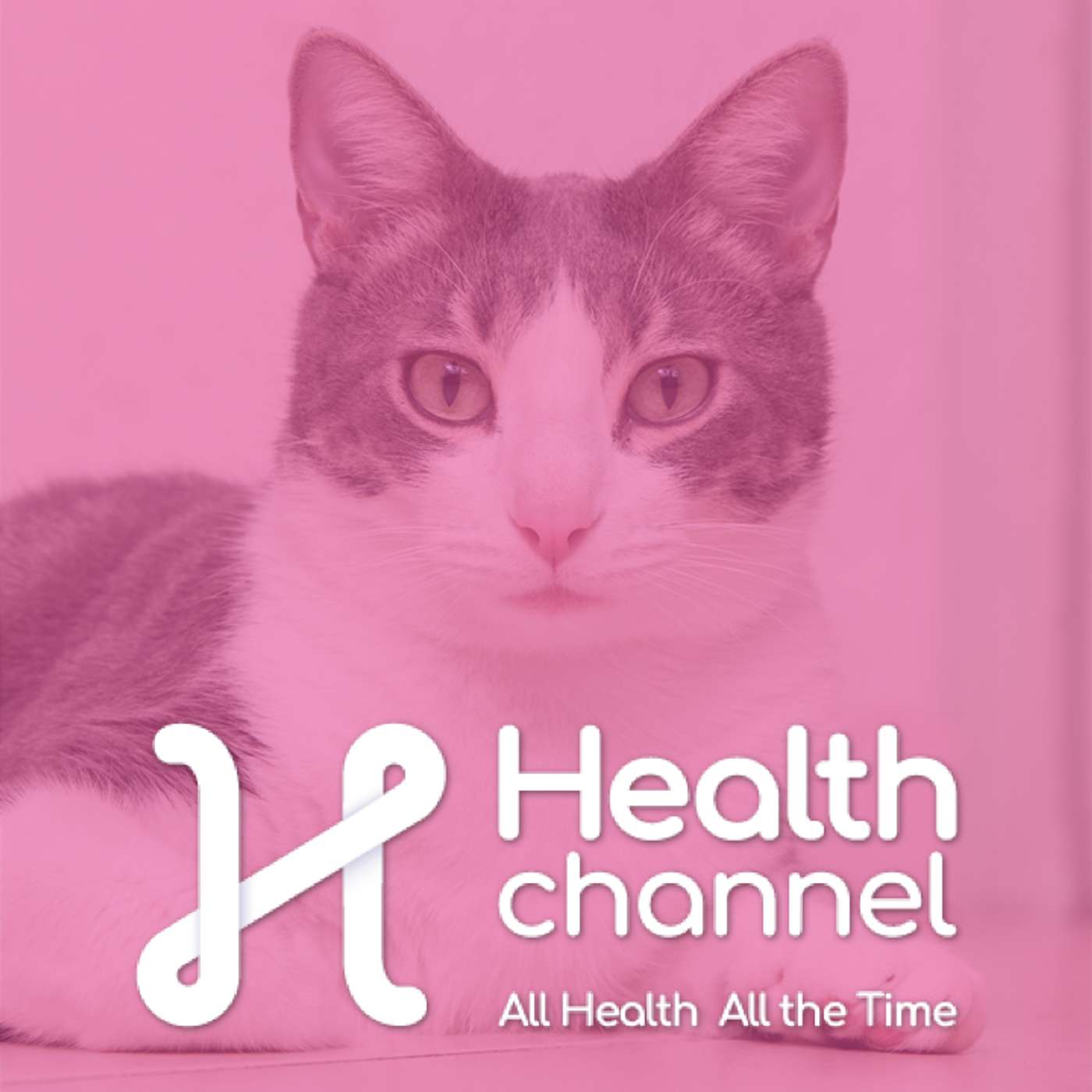 Why Is My Pet Limping? Orthopedic Issues You Shouldn’t Ignore episode artwork