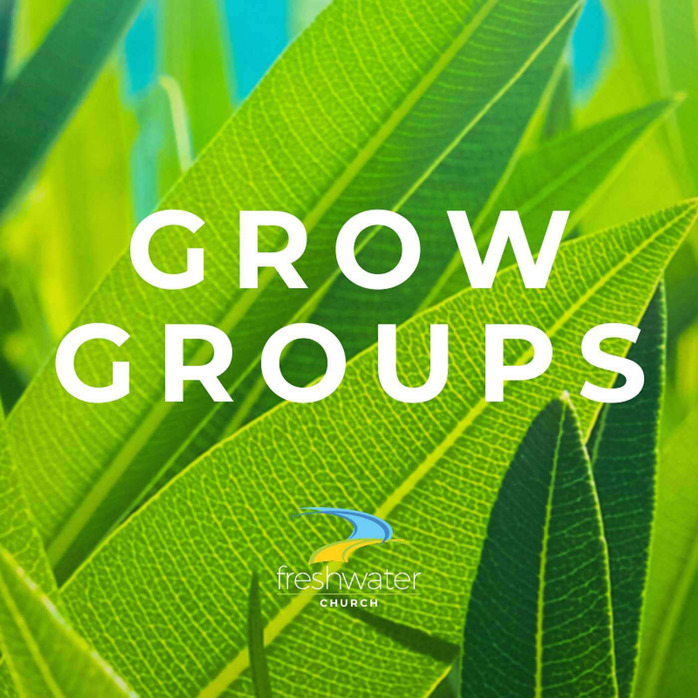 Freshwater Church's Grow Groups Studies