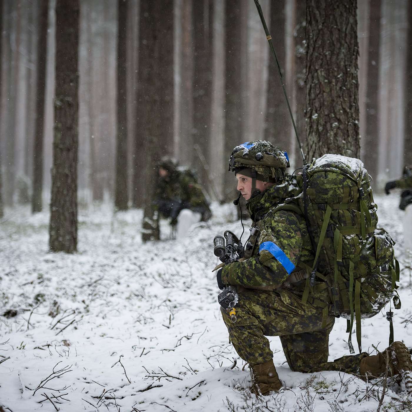 Conference of Defence Associations Institute