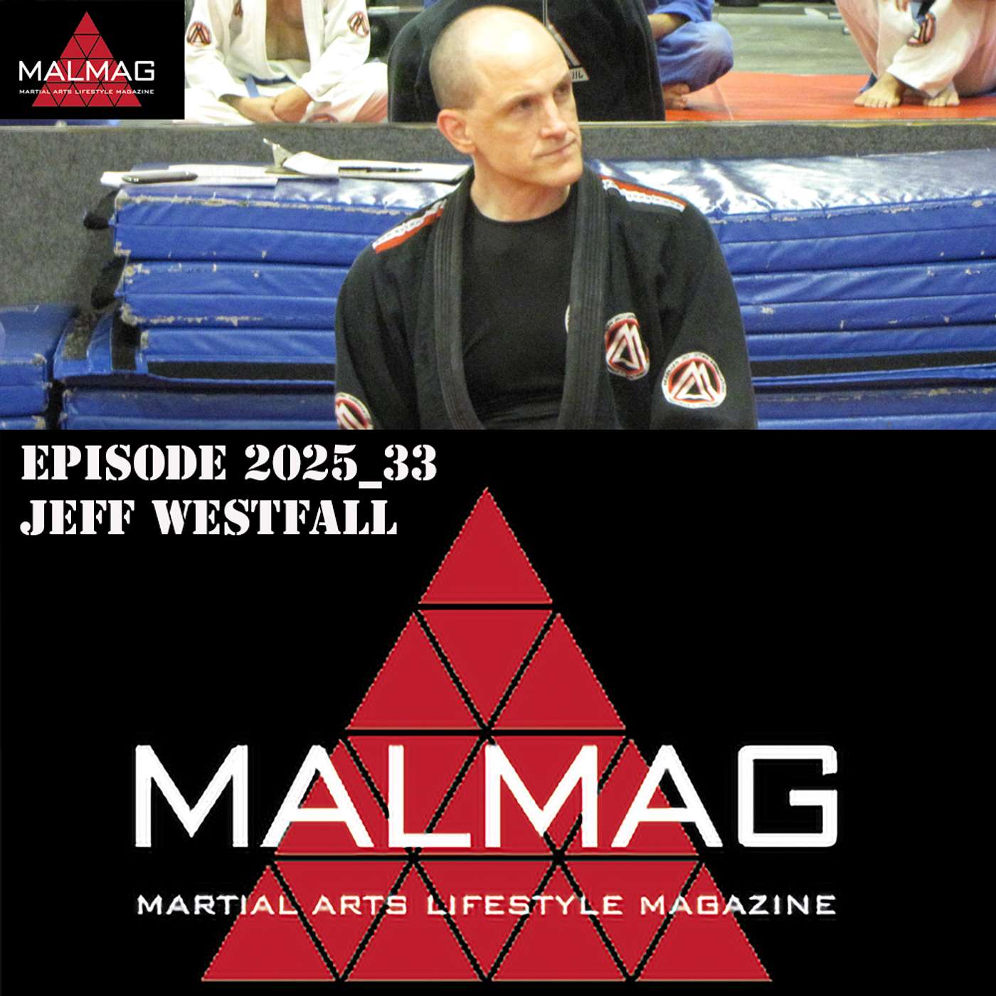 The Martial Arts Lifestyle Podcast