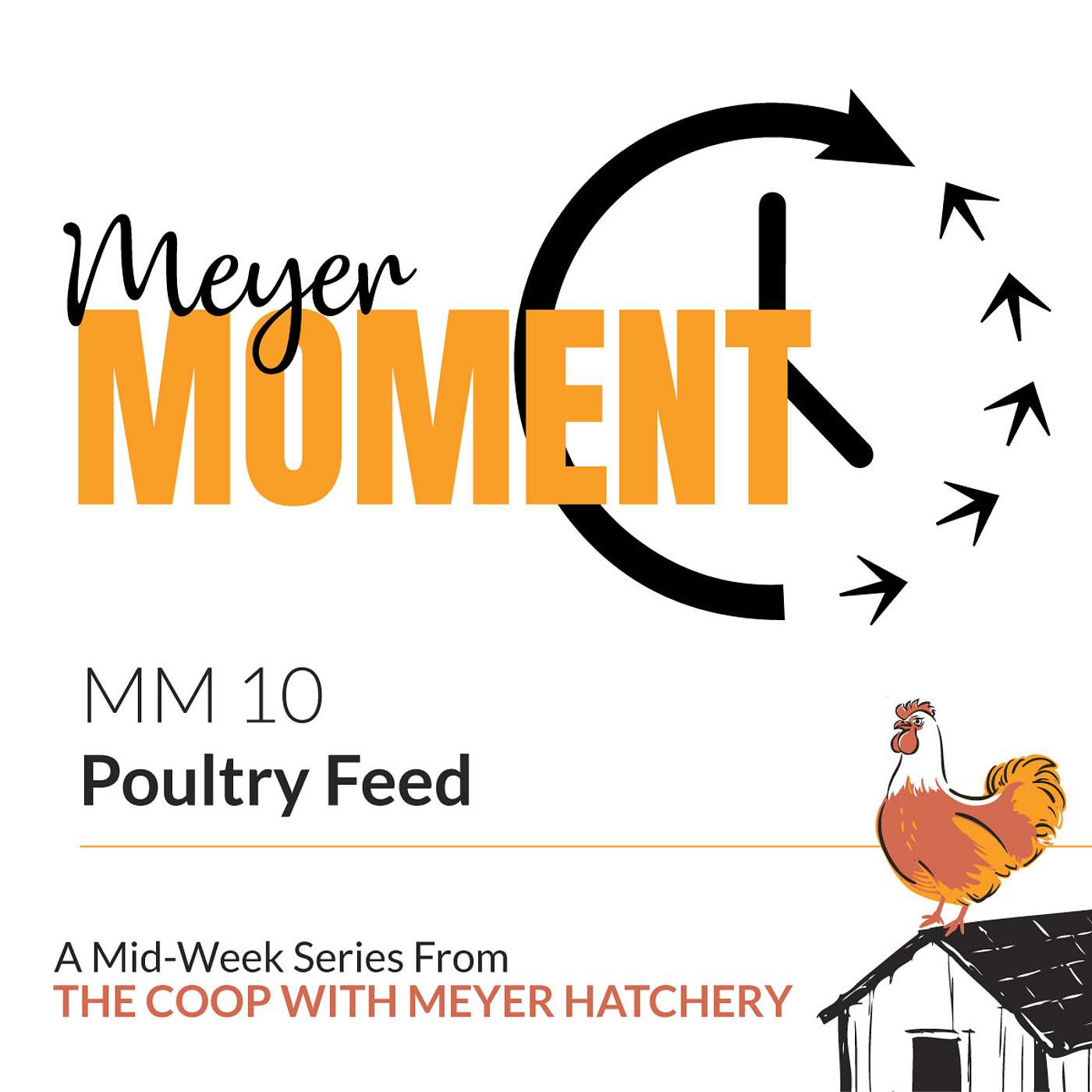 Meyer Moment: Poultry Feed