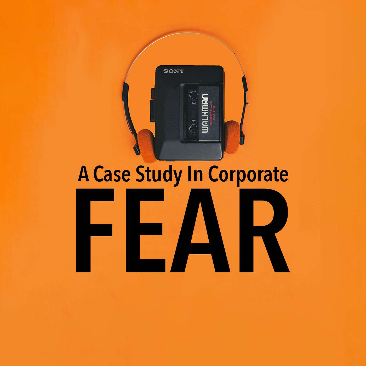 A Case Study In Corporate Fear