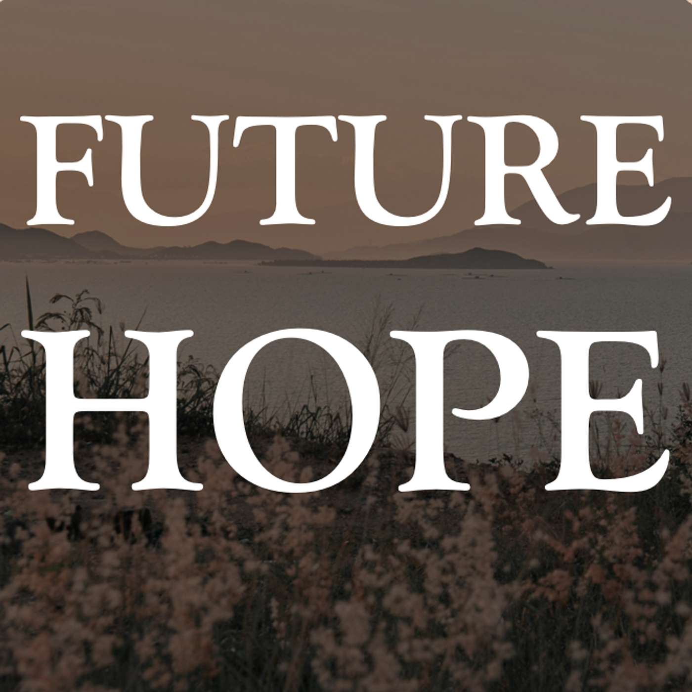 Future Hope episode artwork