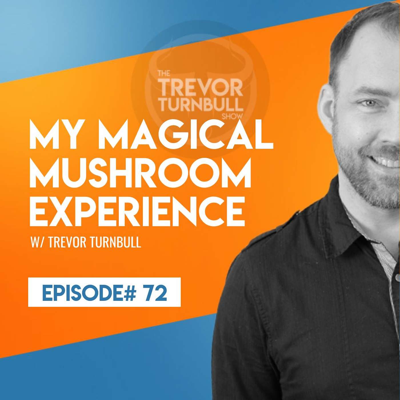 The Trevor Turnbull Show