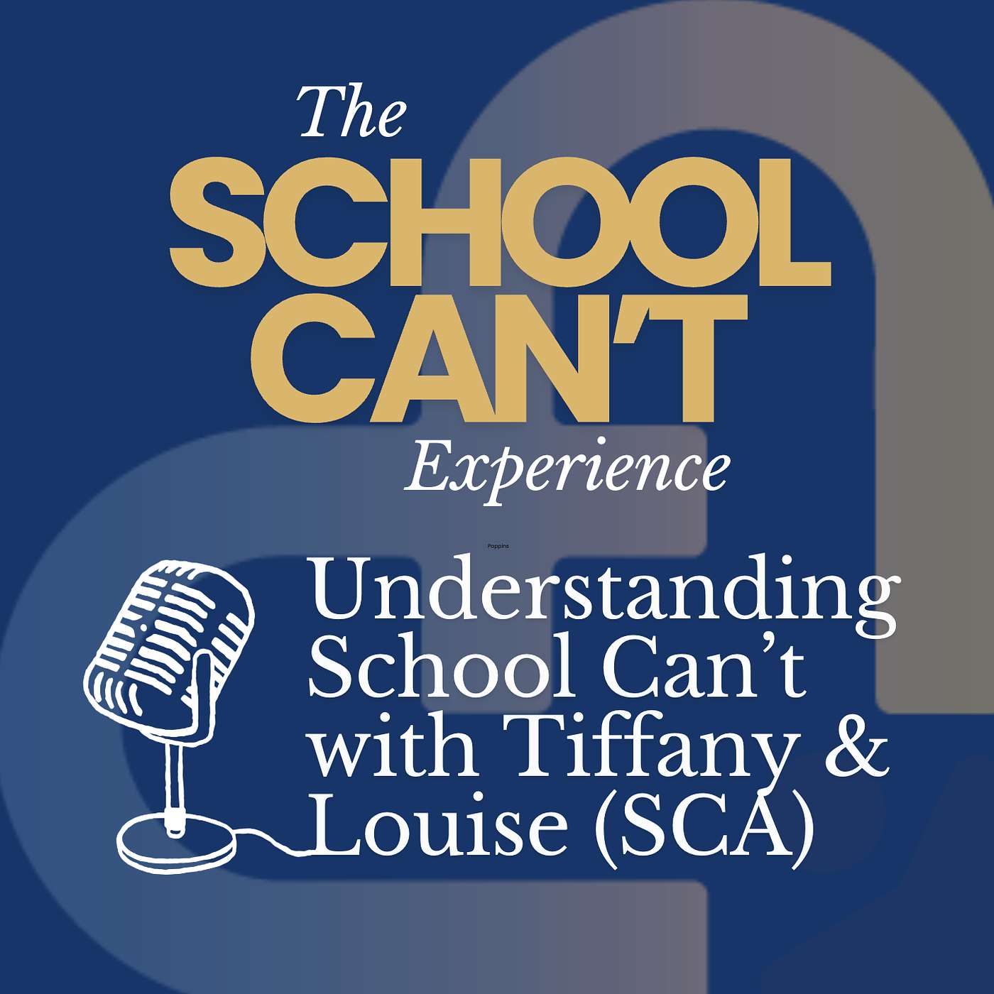 The School Can\'t Experience