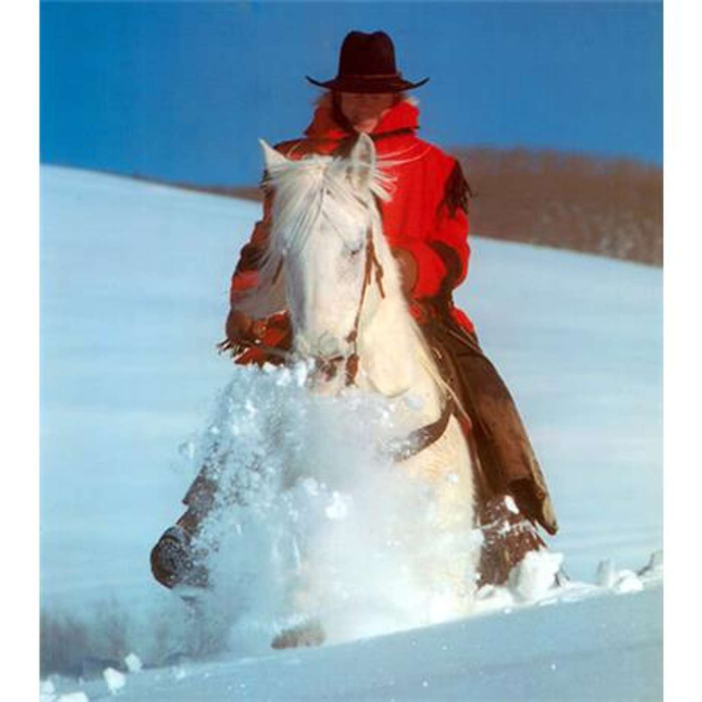 Shawnee Creek Horse Camp LLC & The Trailmeister on SADDLE UP AMERICA