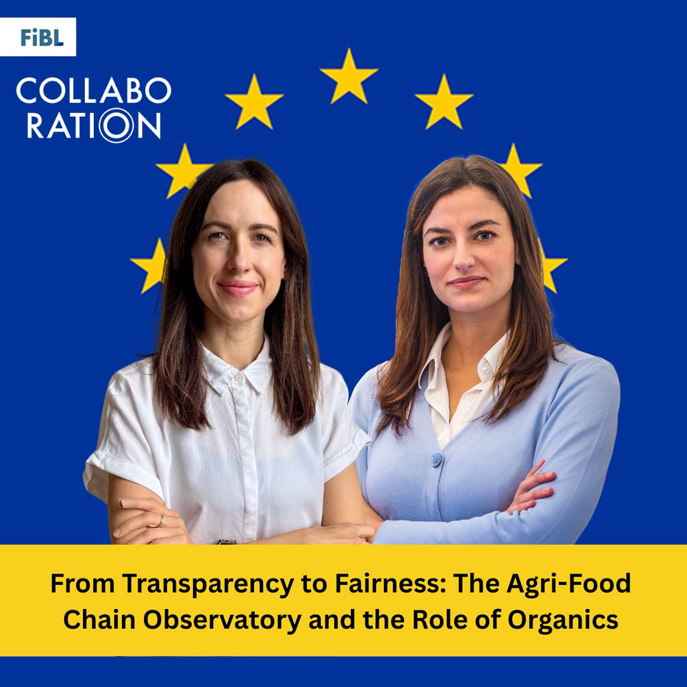 From Transparency to Fairness: The Agri-Food Chain Observatory and Organics