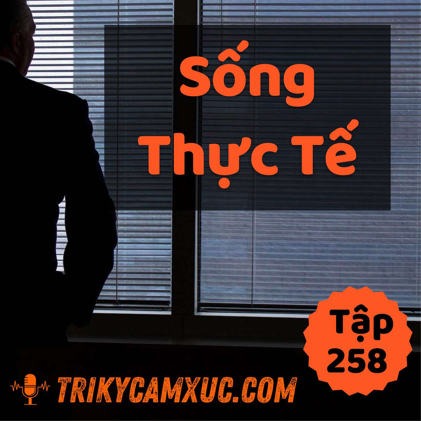 Hướng Về Lý Tưởng, Nhưng Phải Sống Thực Tế - Tri kỷ cảm xúc #258