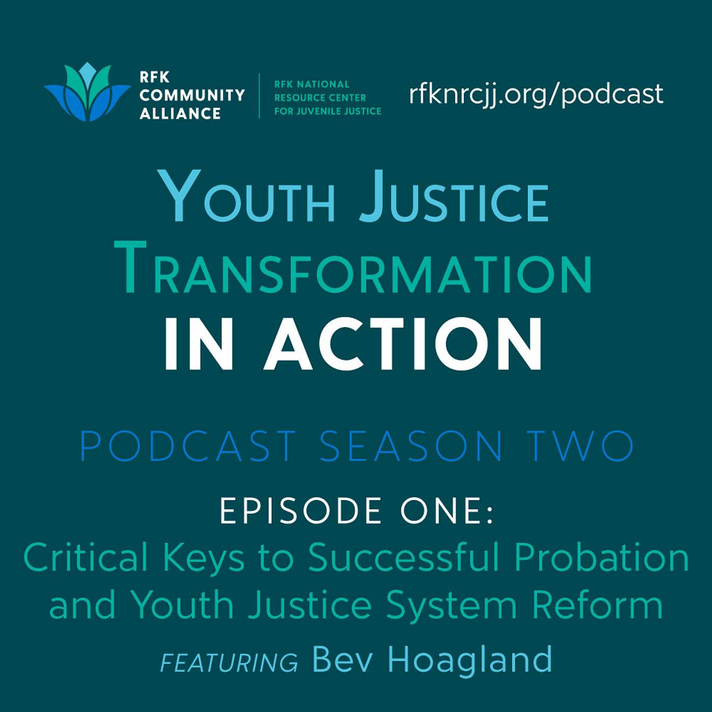 Youth Justice Transformation in Action