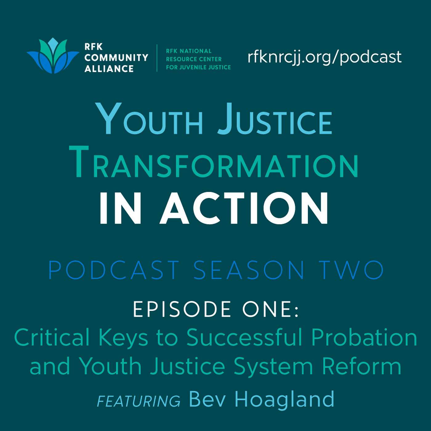 Critical Keys to Successful Probation and Youth Justice System Reform (ft. Bev Hoagland)