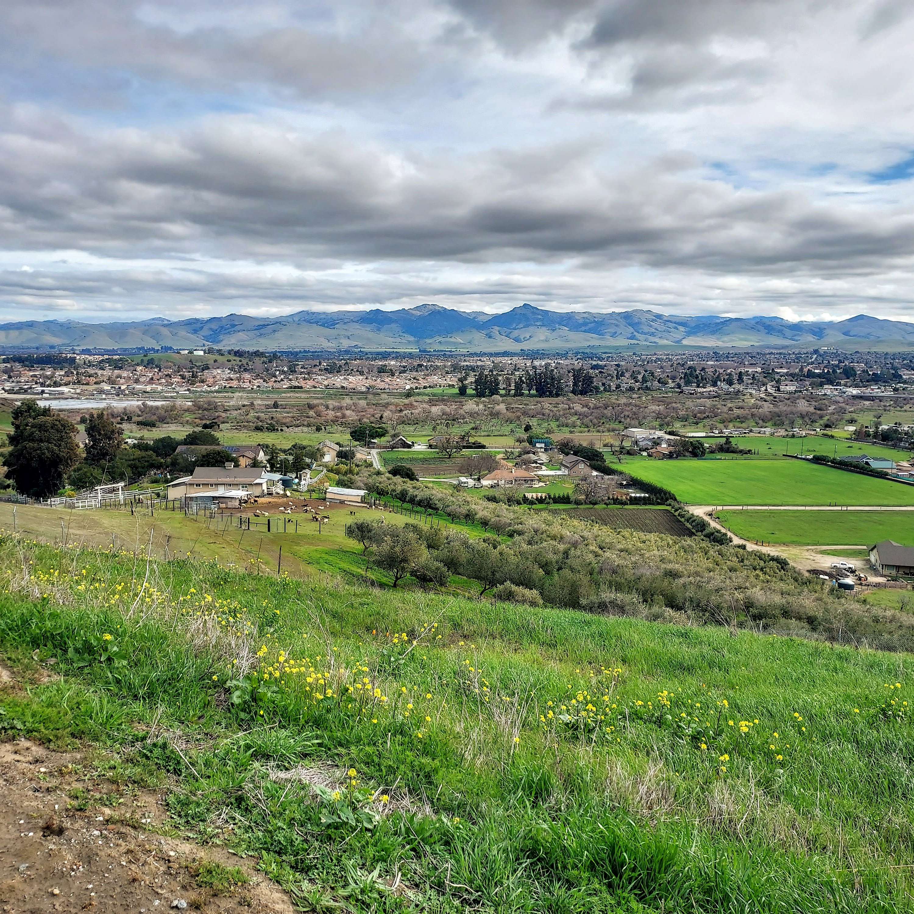 Change is Here: What Do We Want?