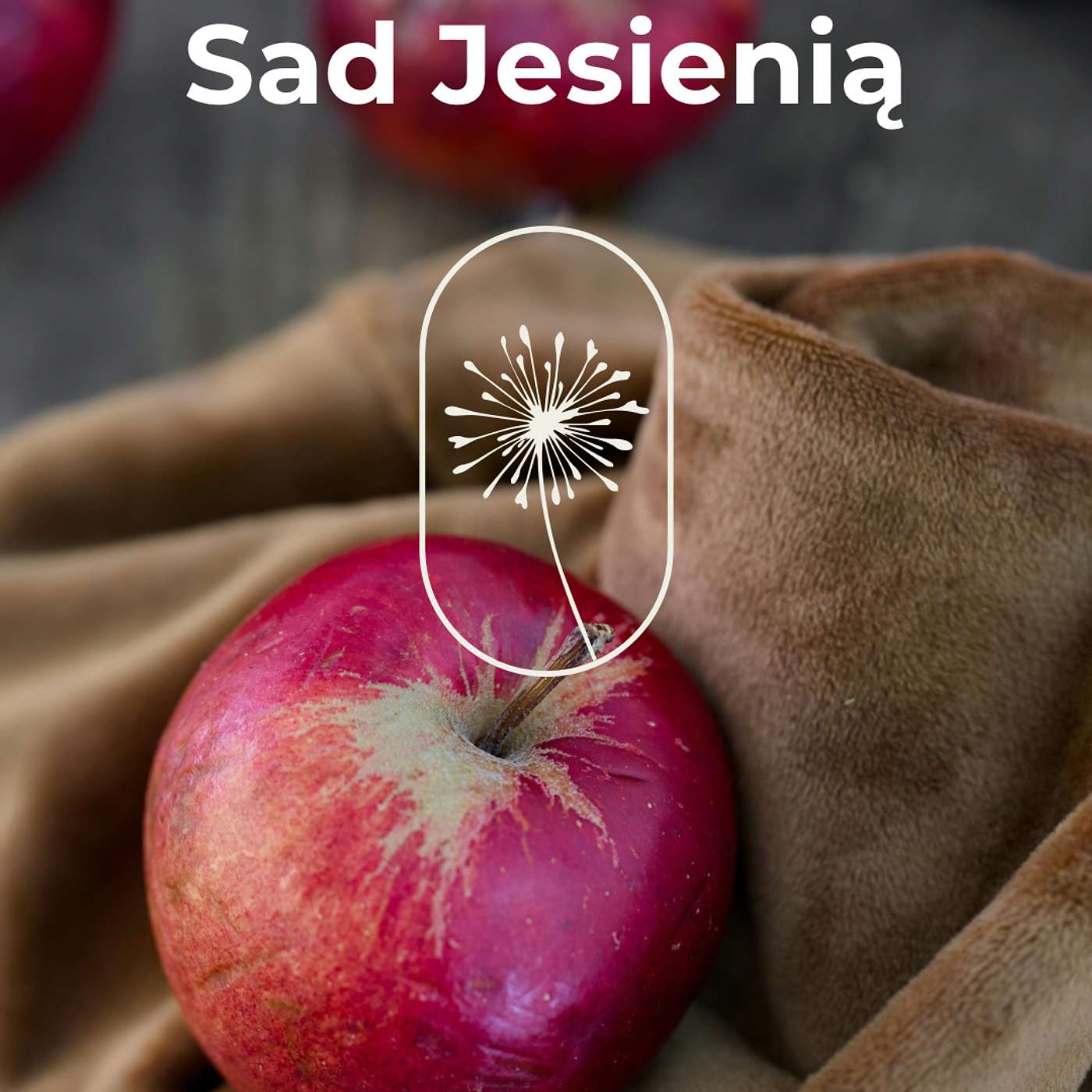 06 Sad jesienią. O wspomnieniach, które dojrzewają jak jabłka w słońcu.