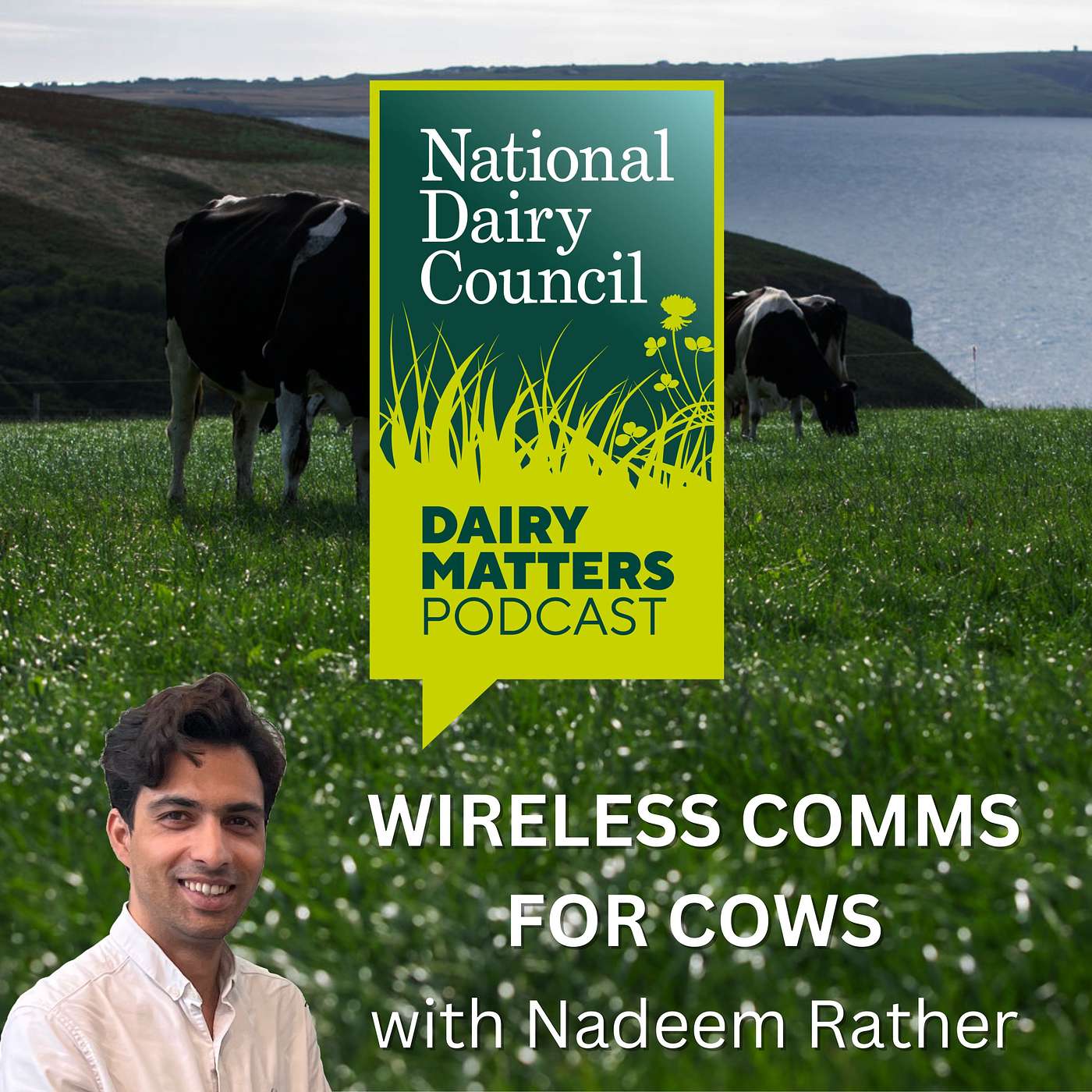Dairy Matters